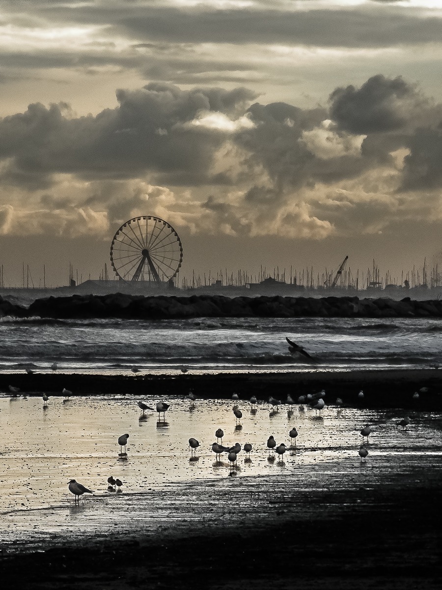 Pasteggiare in compagnia