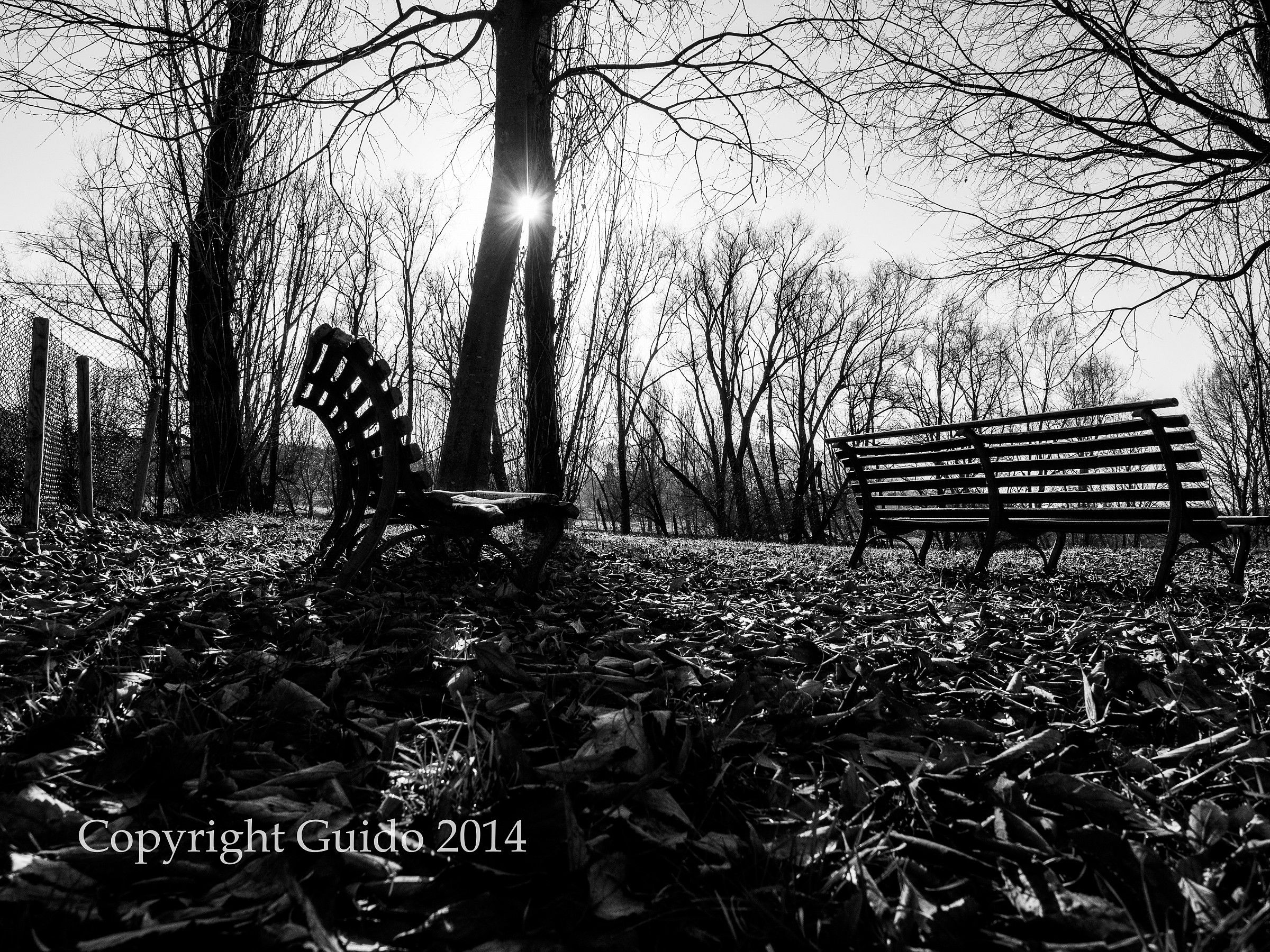 Panchine solitarie_3