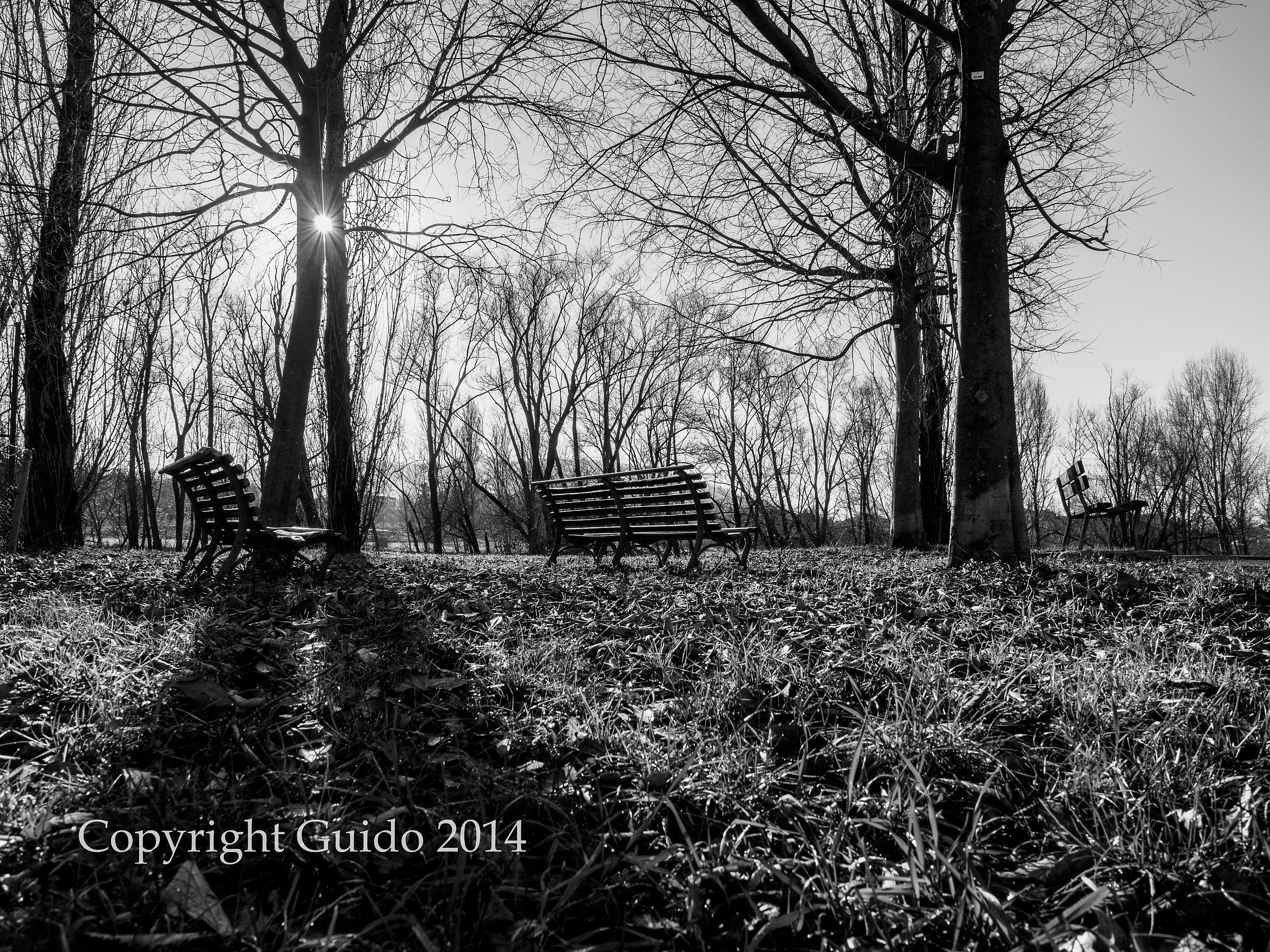 Panchine solitarie_5