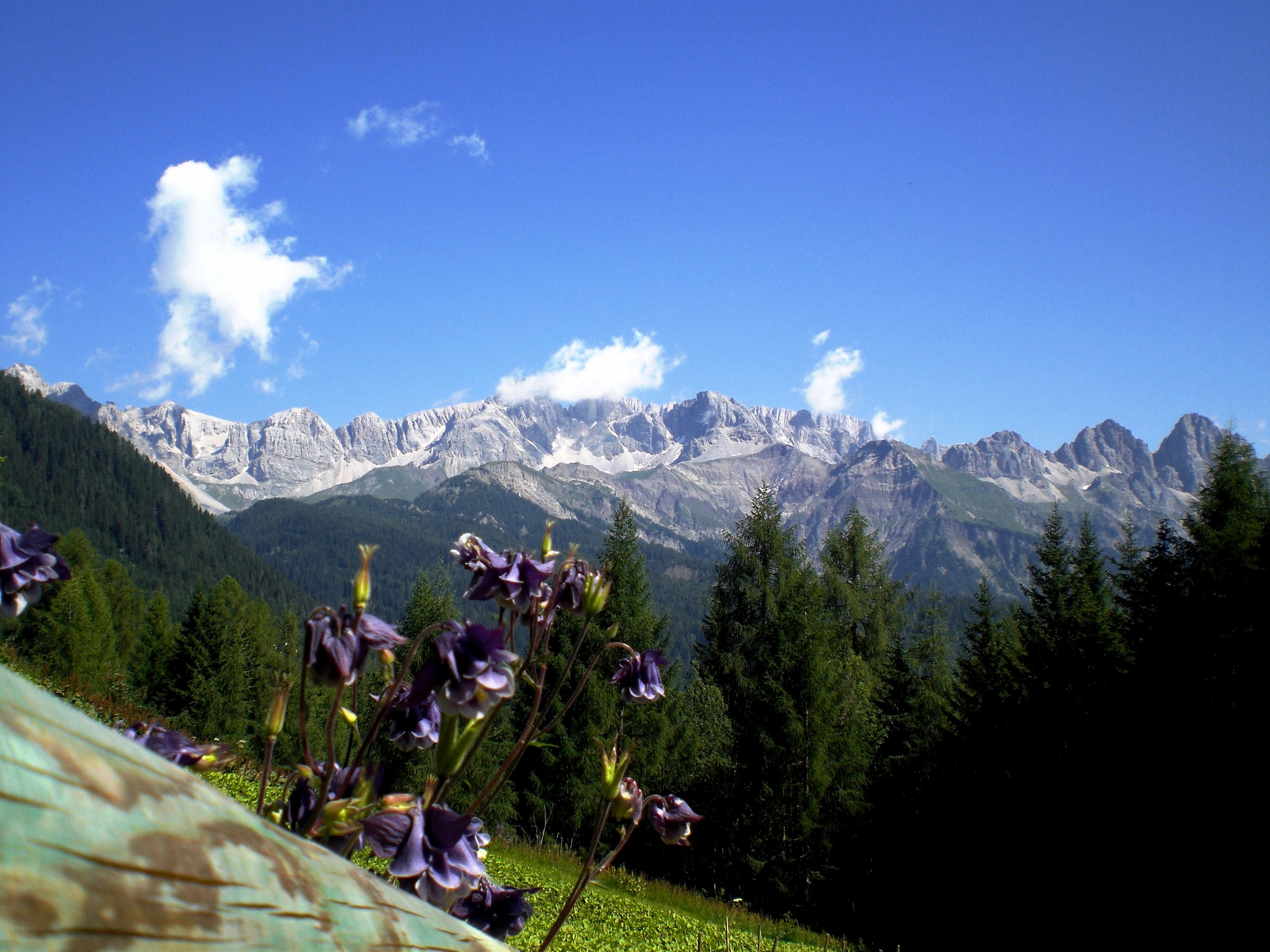 rif.bottari - vista sulle dolomiti