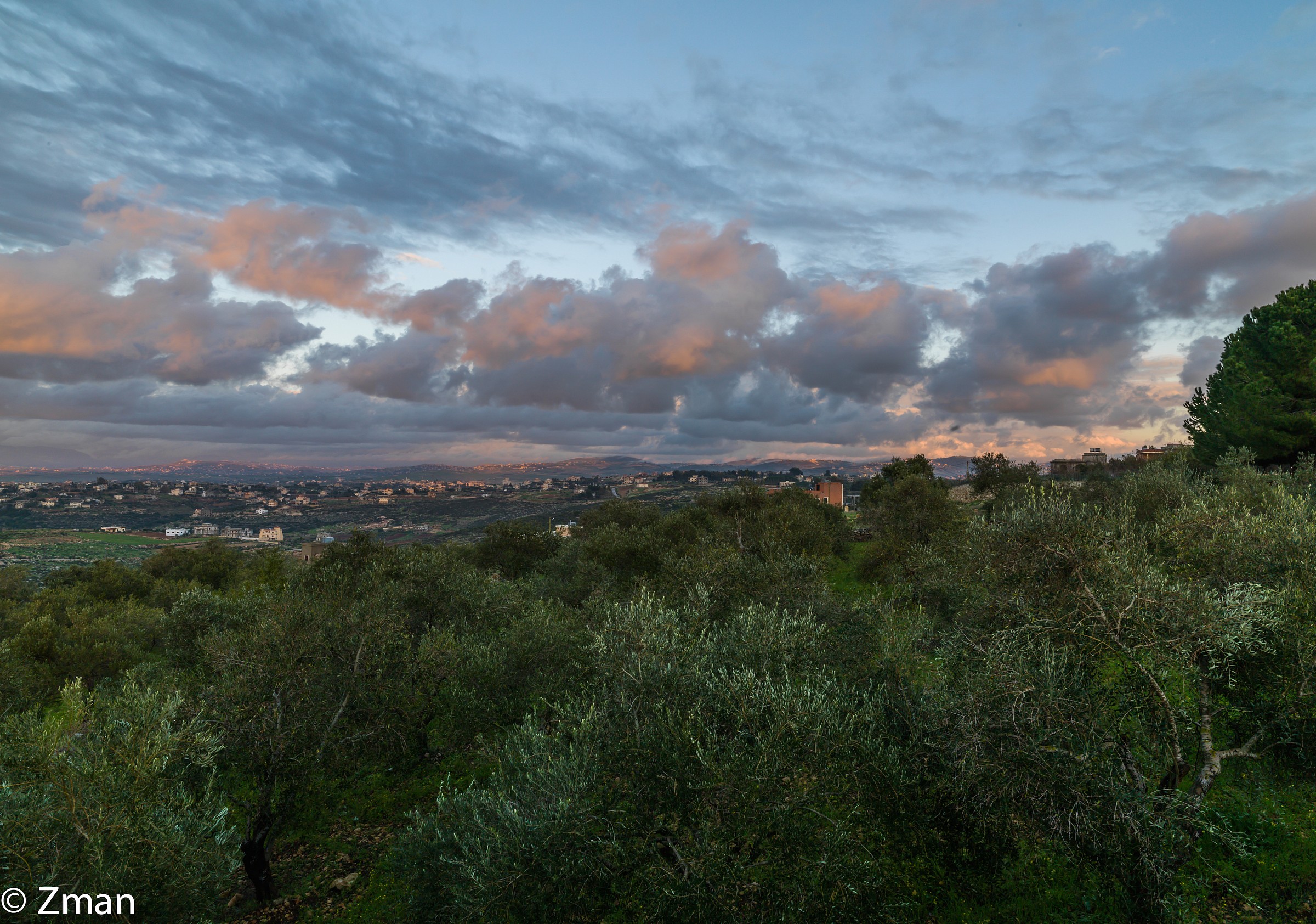 Neighbours "Olive Fields