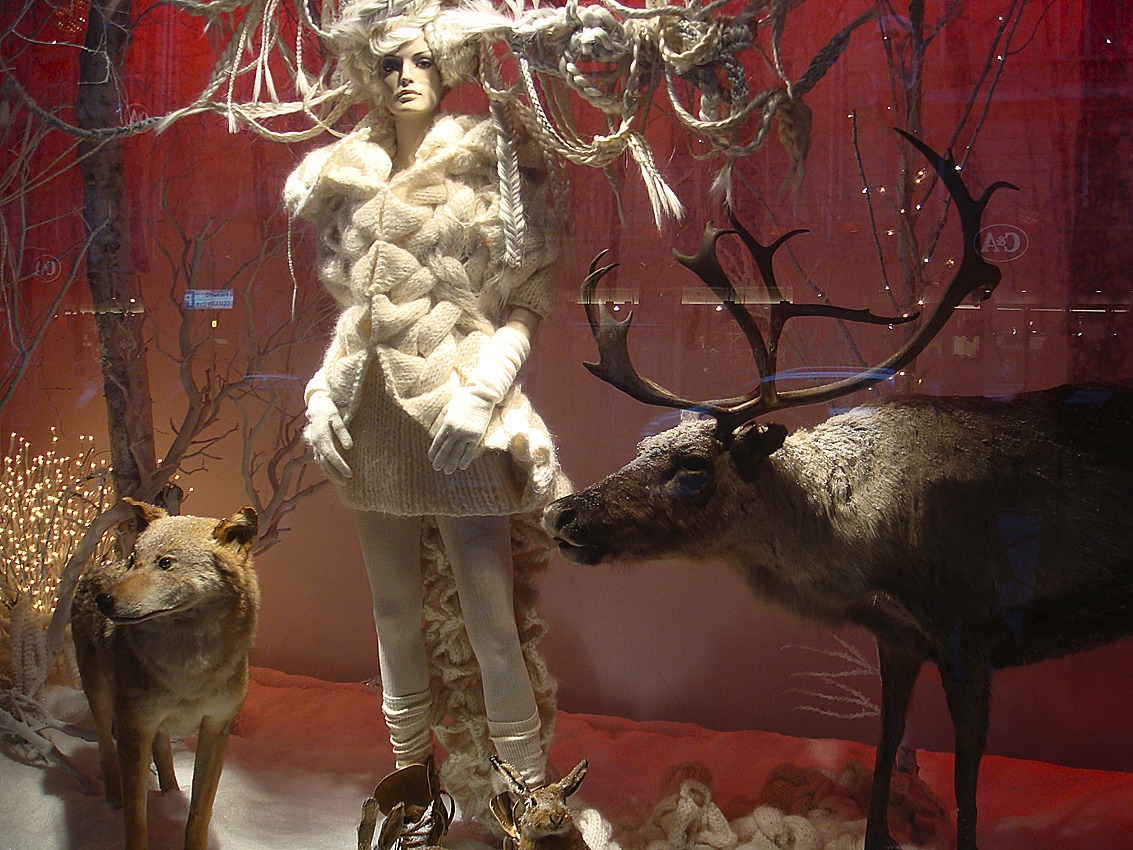 La Fayette Vetrina 2