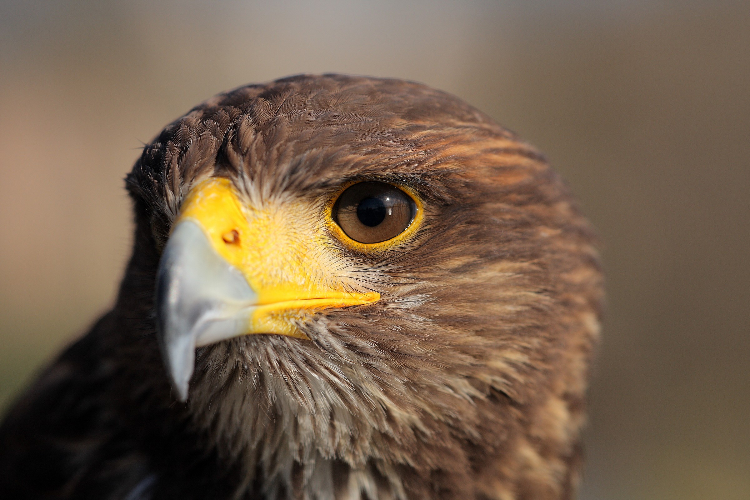 Brrr, that look ...!