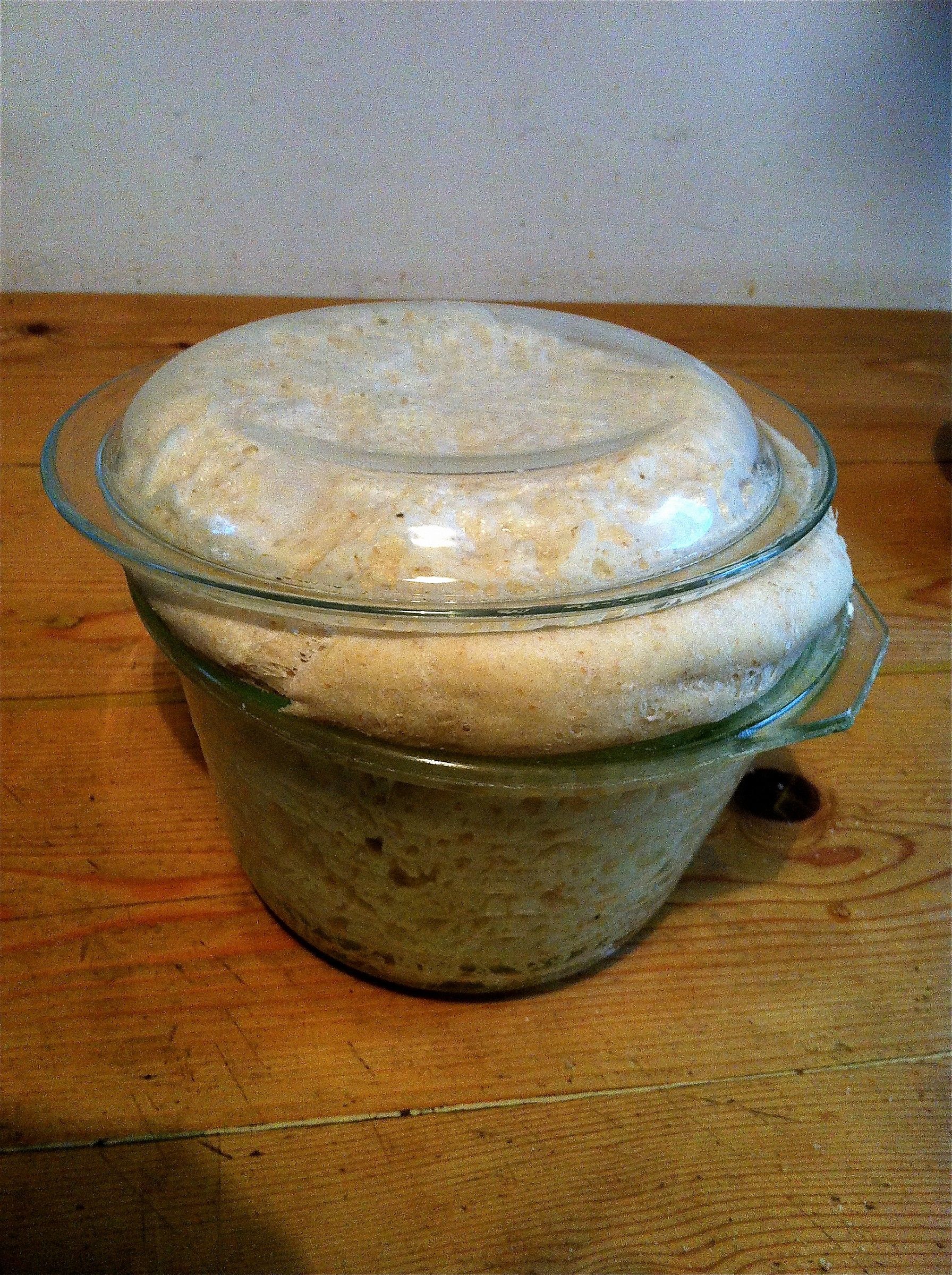 The strength of the yeast