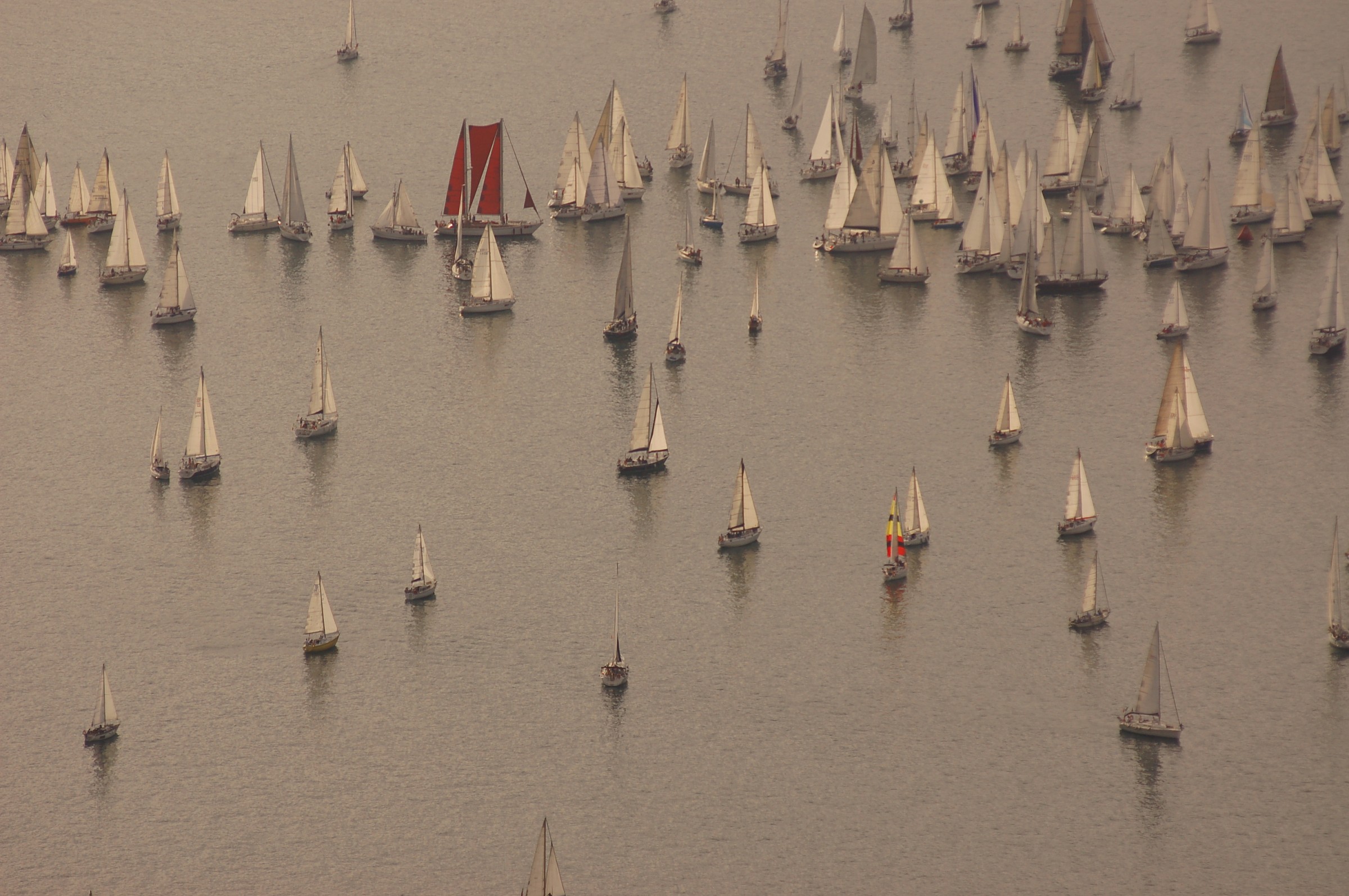 barcolana 2014 - Trieste
