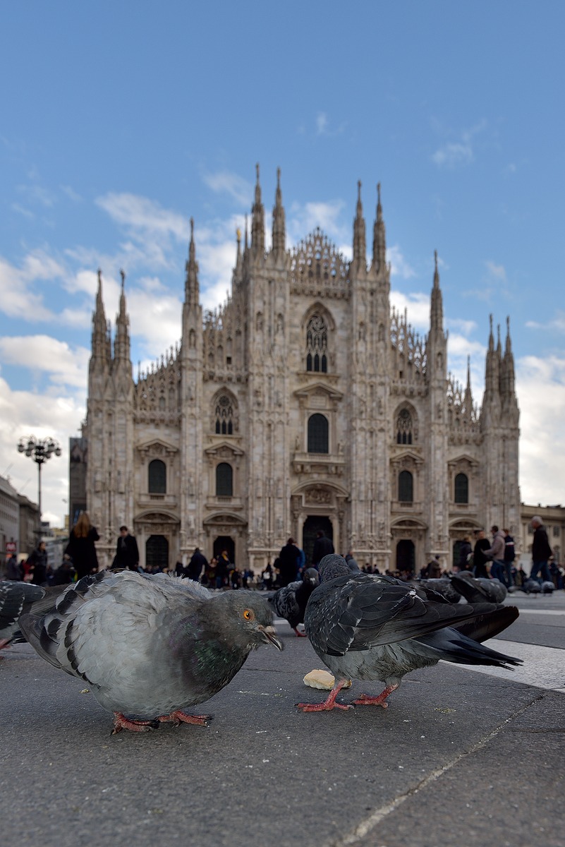 I padroni dalla Piazza...!!!