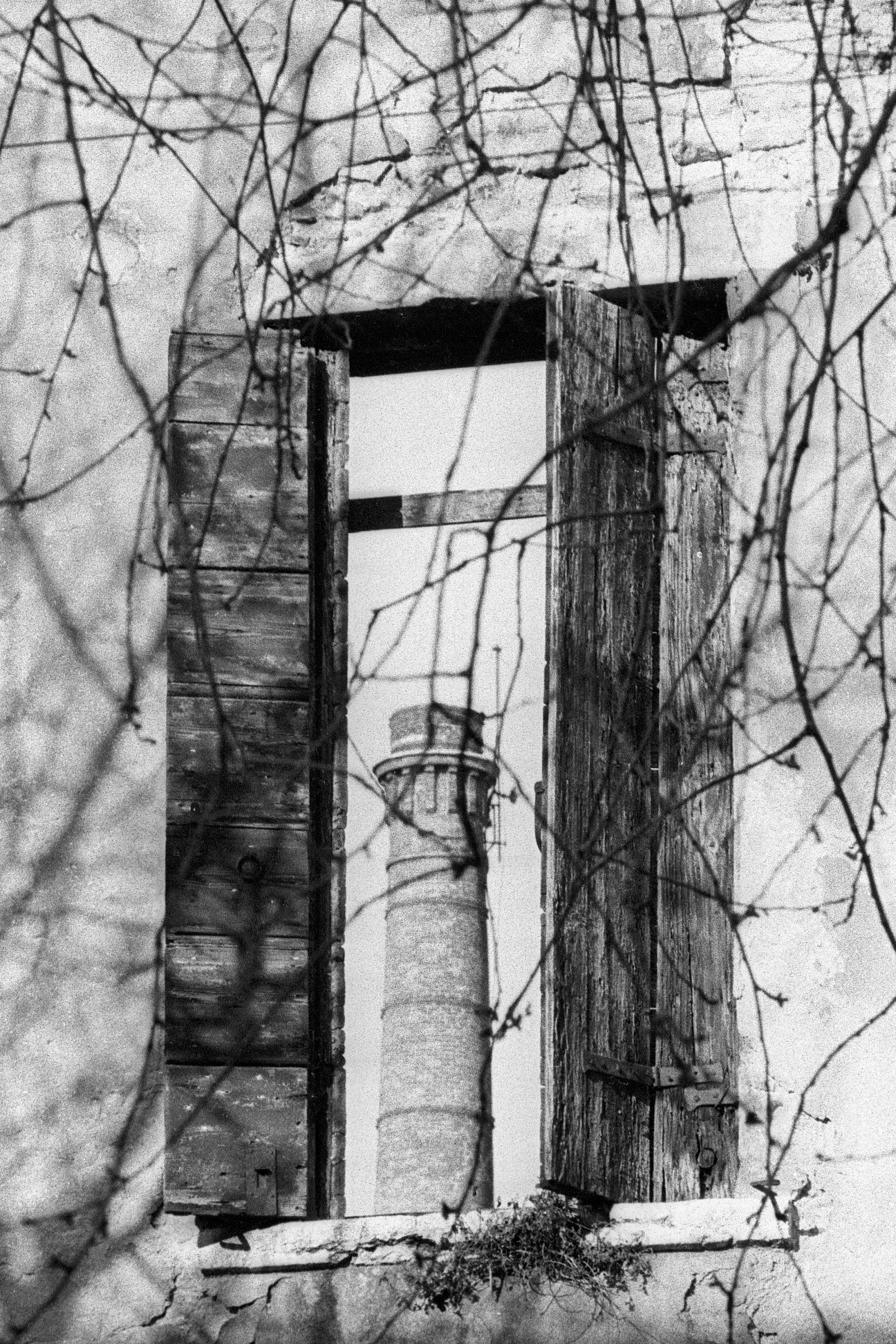 Quando Magritte si affacciava alla finestra