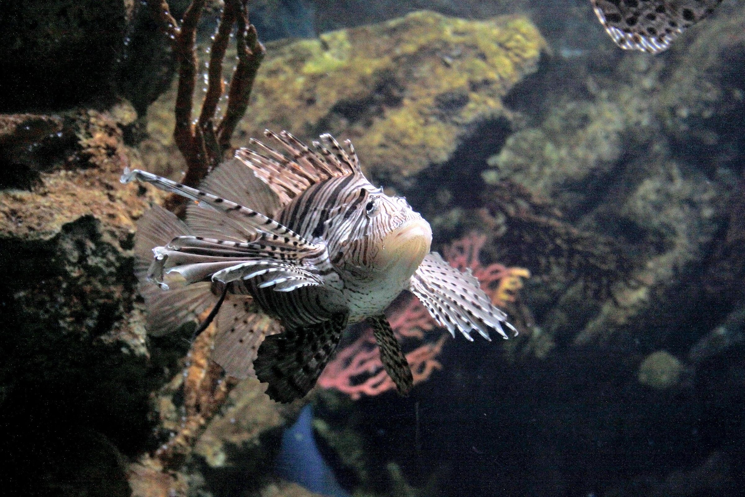 prova a toccarmi!!!!