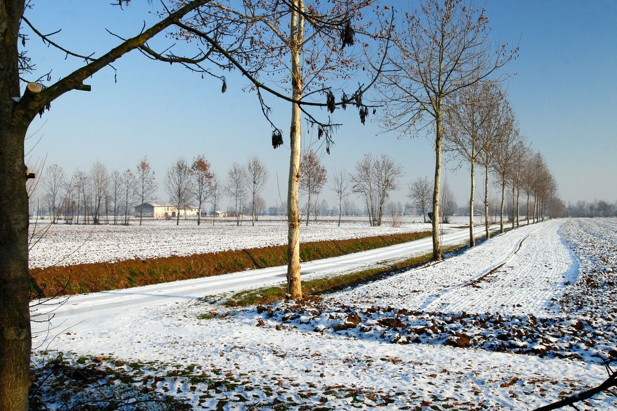 Look with the first snow