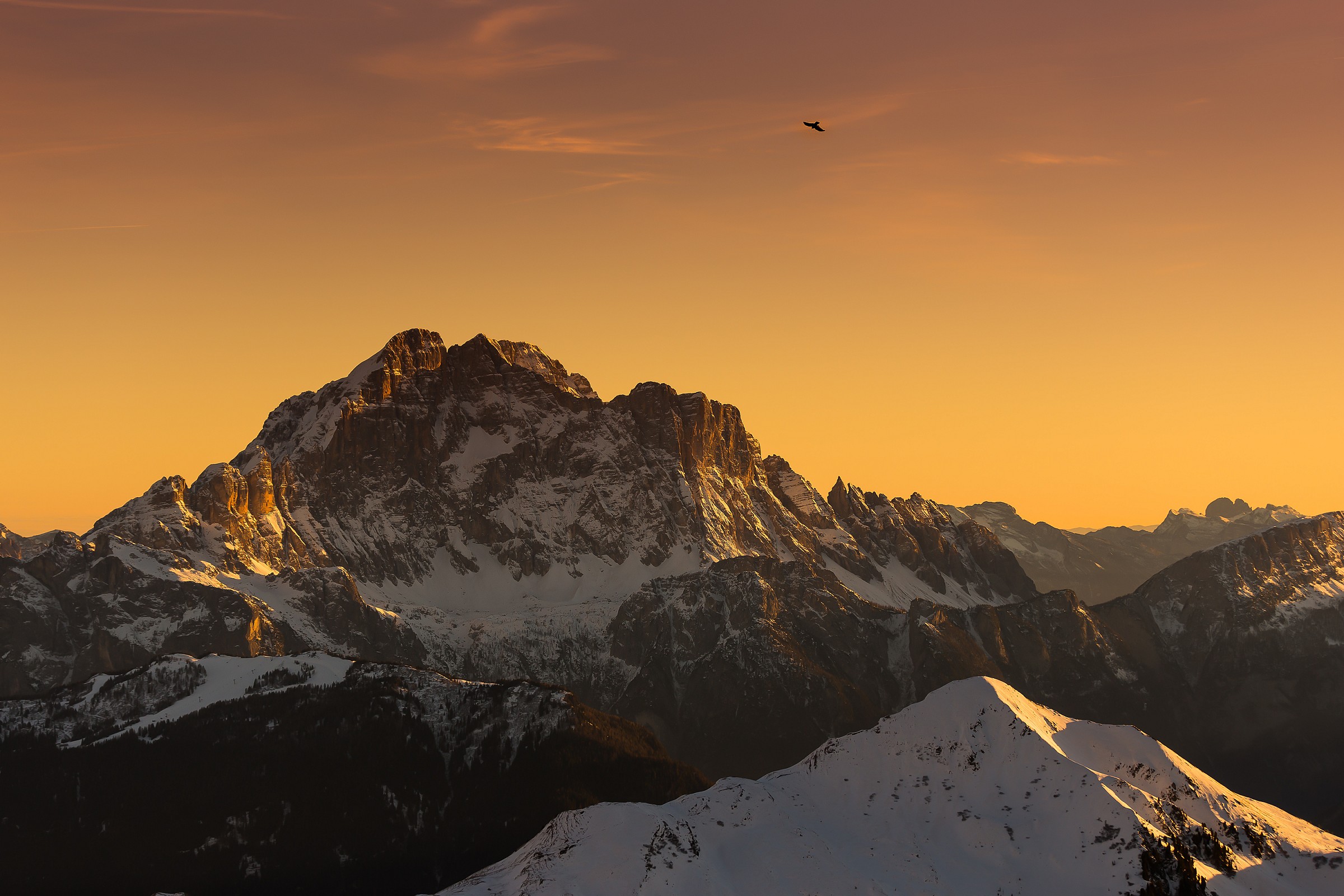 Il Gracchio e la Civetta