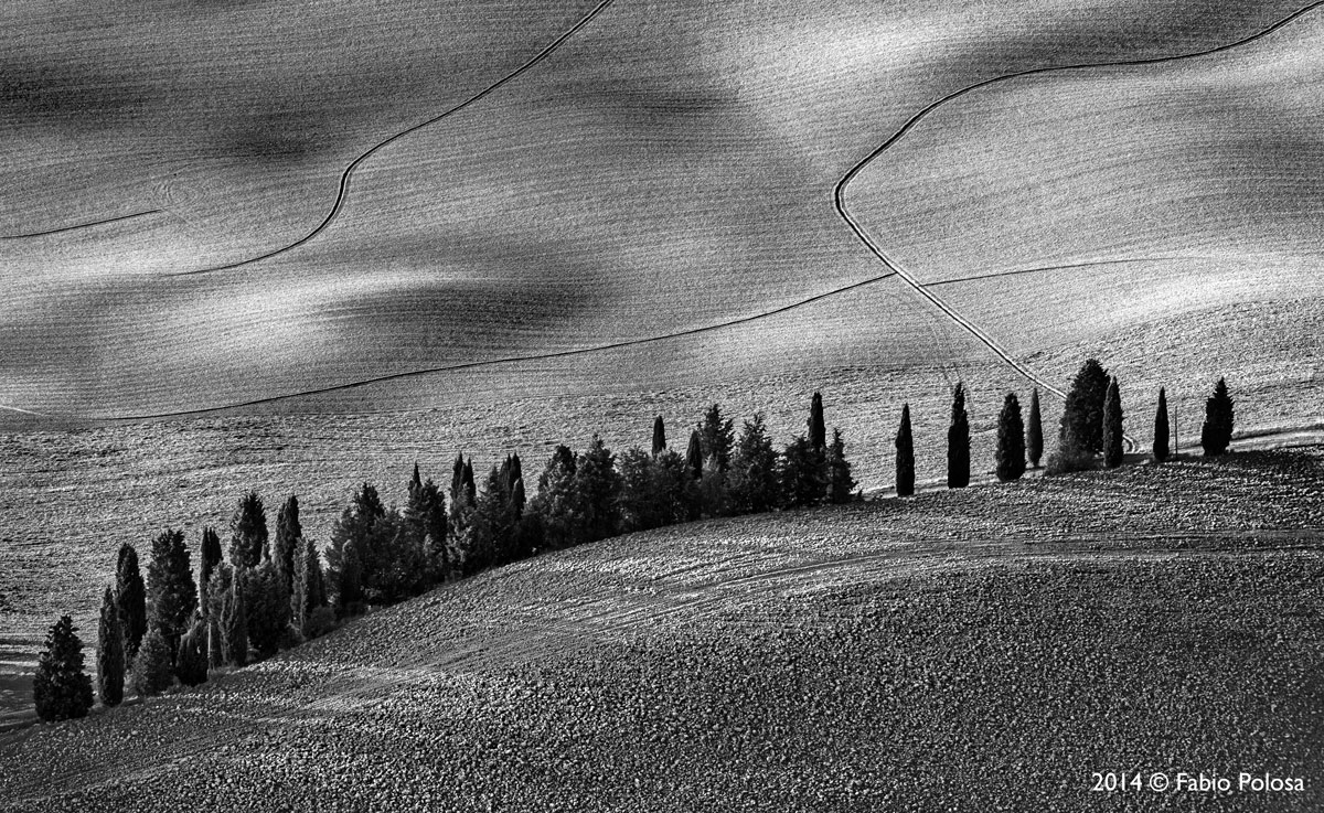 Particolare della Val d'Orcia