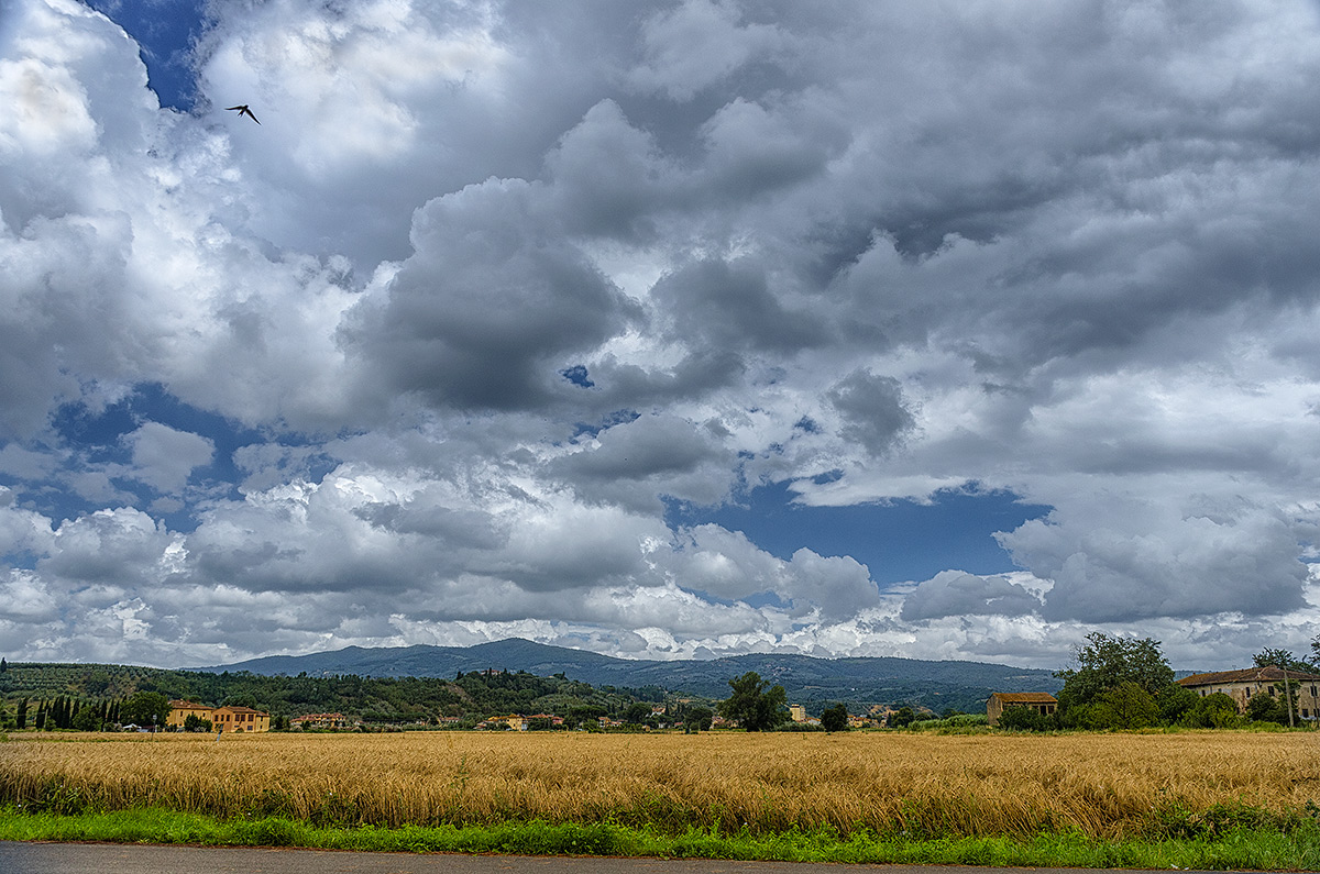 Una rondine non fa primavera