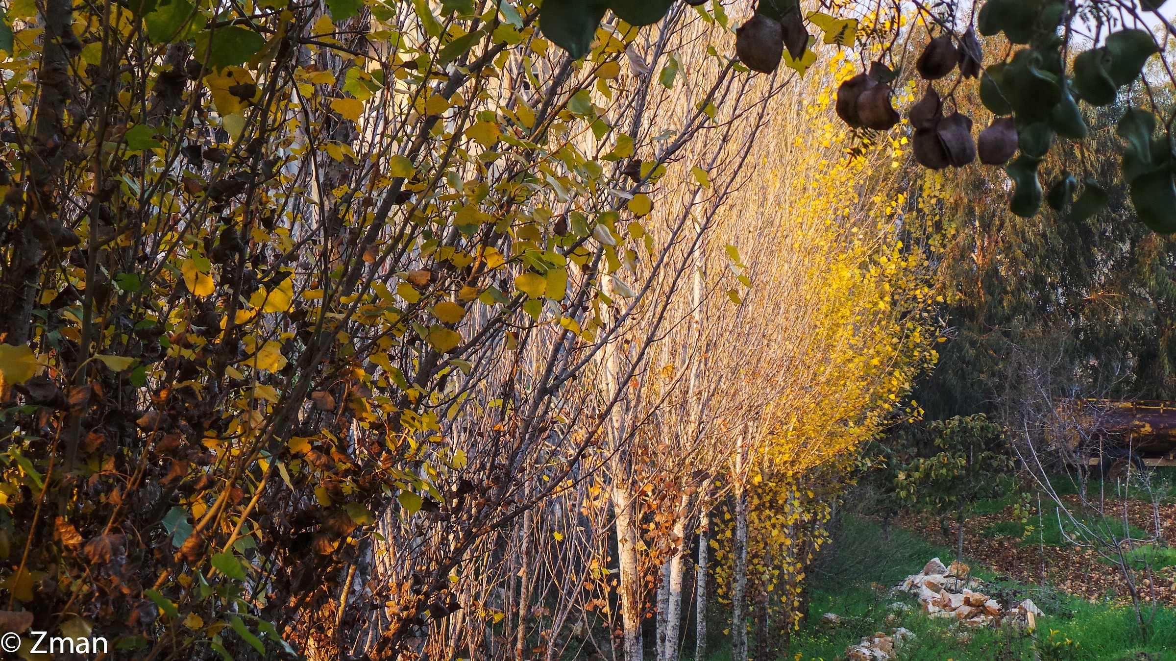 Ultimi giorni d'autunno