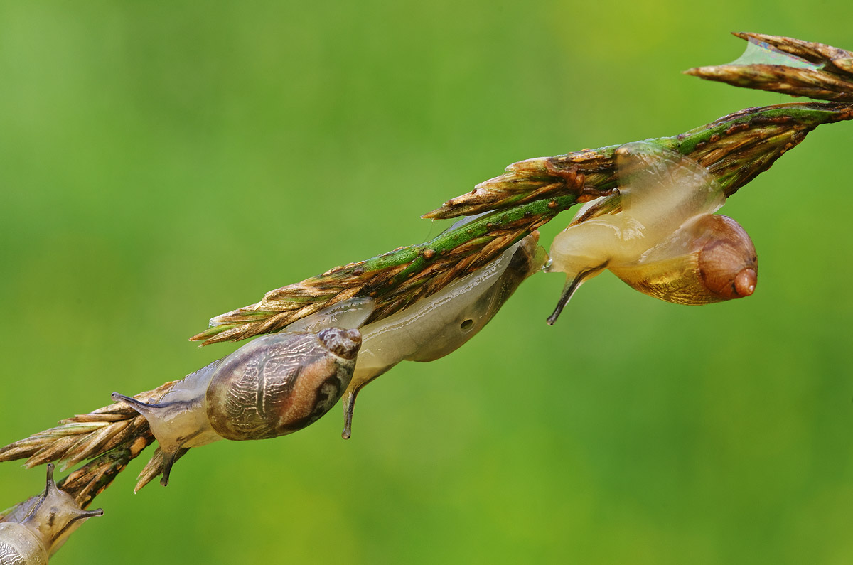 Help, I lost the shell!