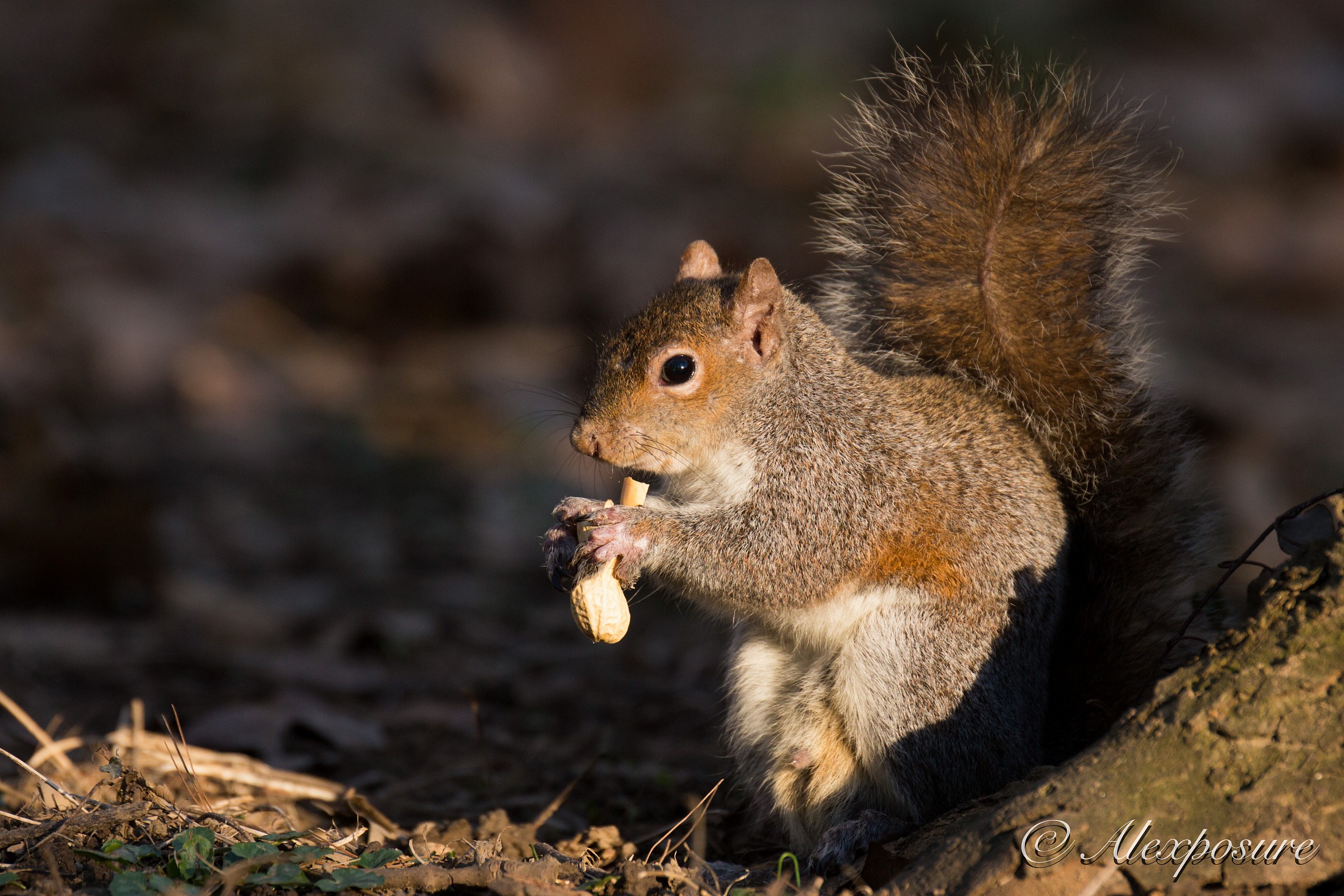 Small moments of joy