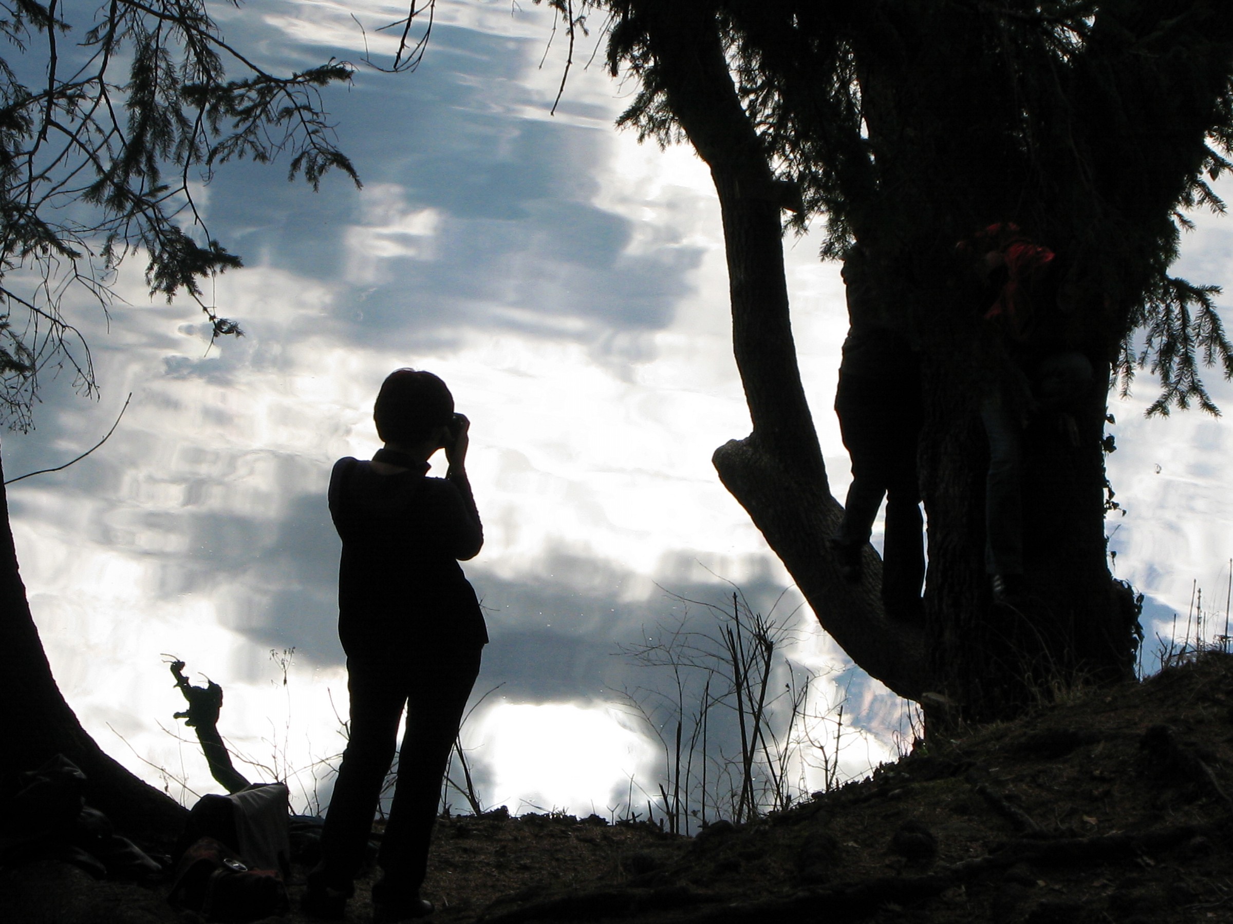 fotografando il lago - Bled, Slovenia