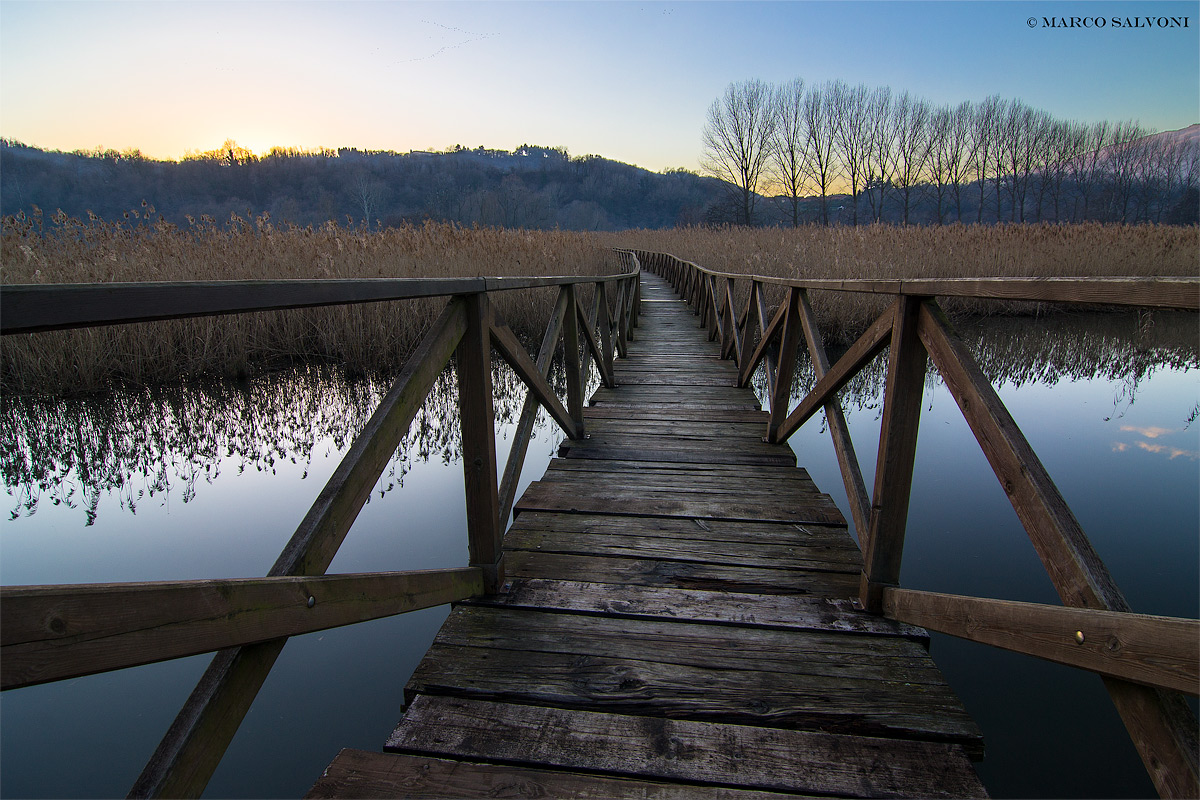 Oasi dopo il tramonto