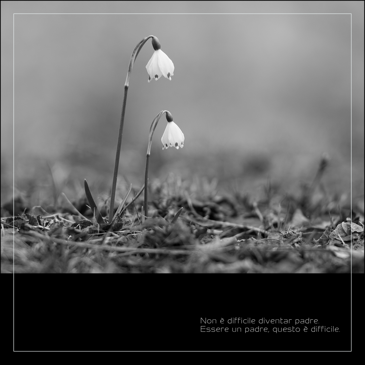 Non è difficile diventar padre. Essere un padre, ques...