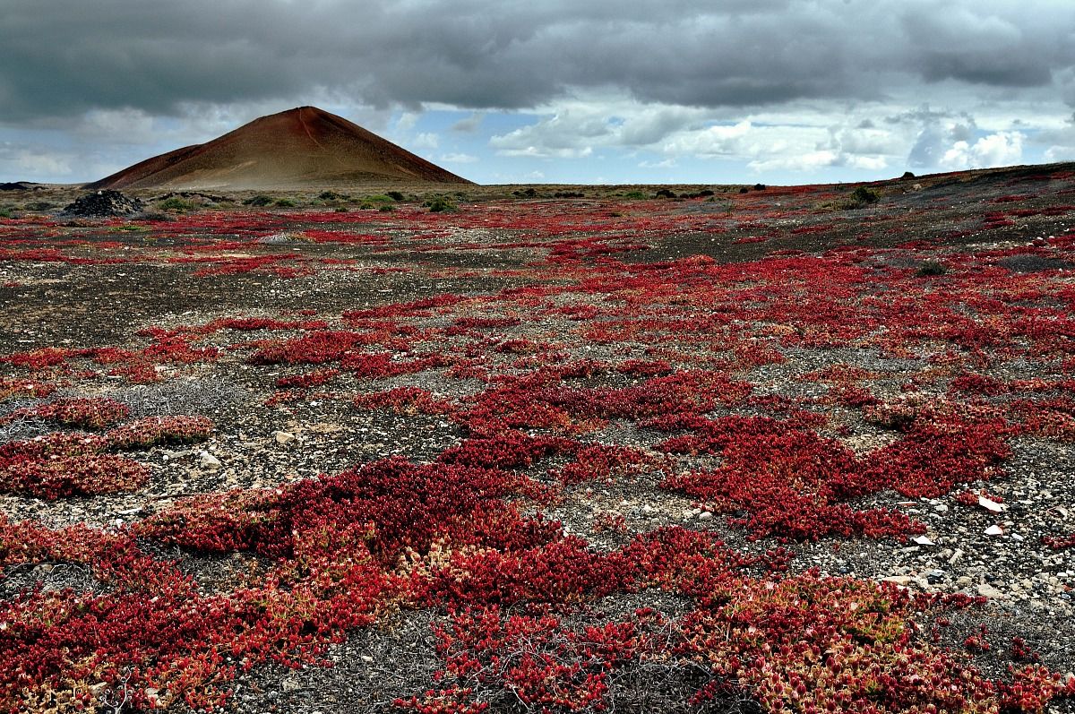Lanzarote - La Graciosa - Canarie