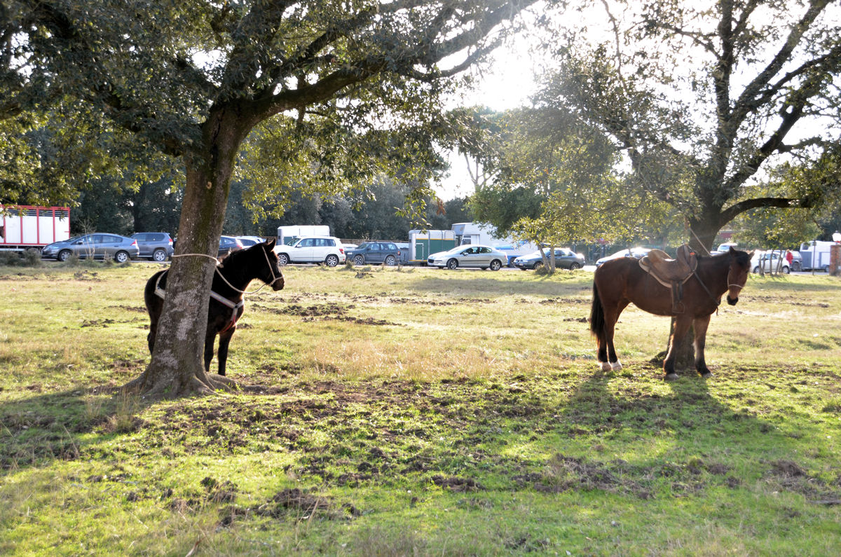 Controluce dopo la corsa