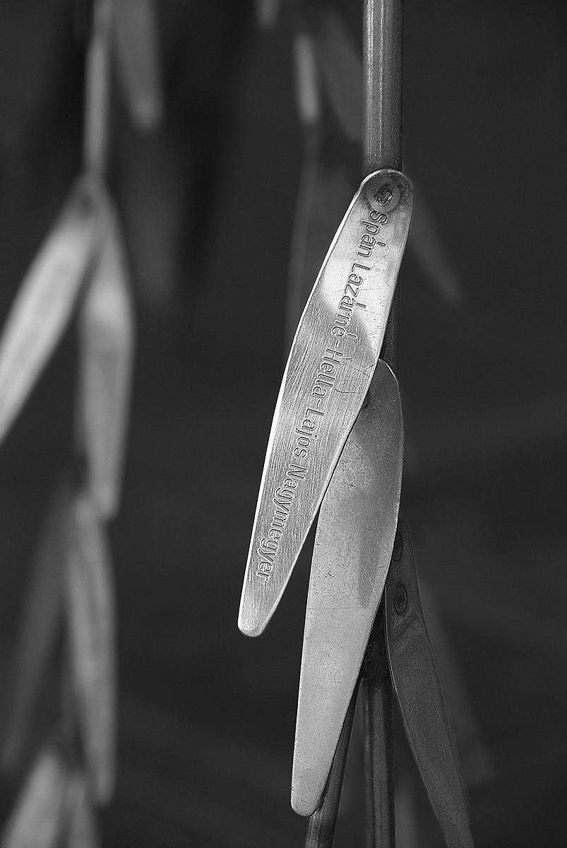 Giorno della memoria - una tra le foglie cadute