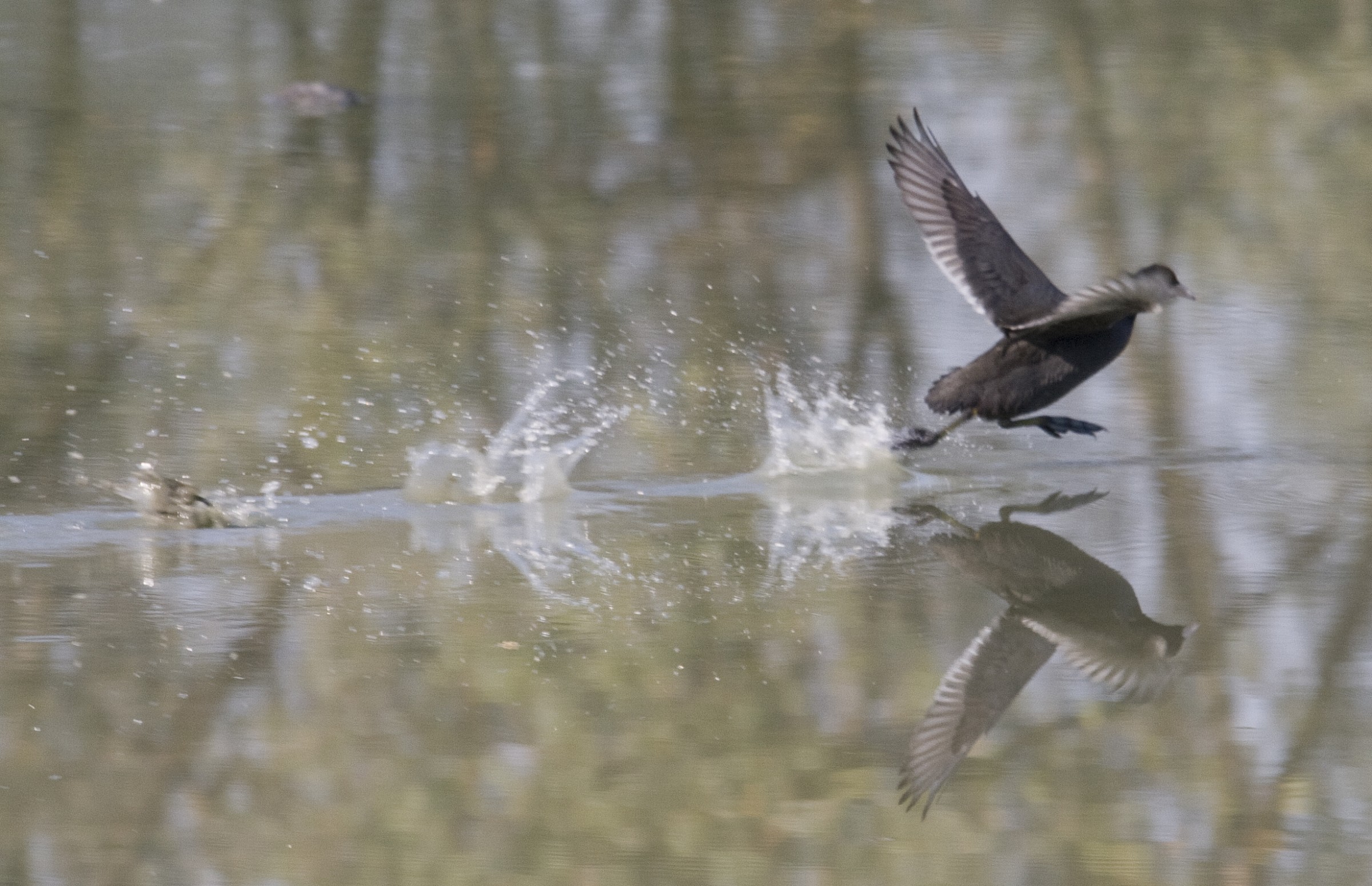 Fuggire, scappare via