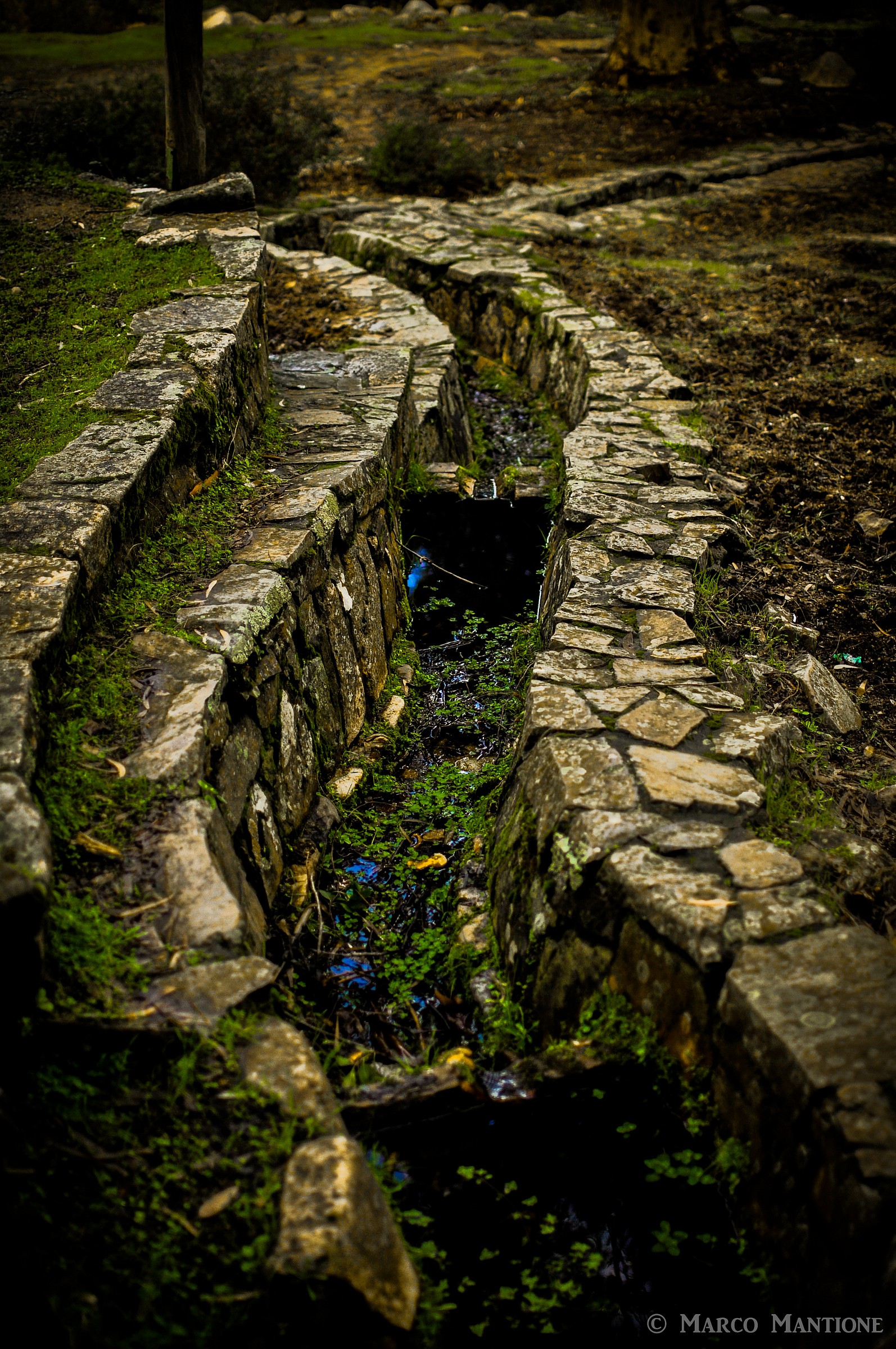 channel Gutturu Mannu