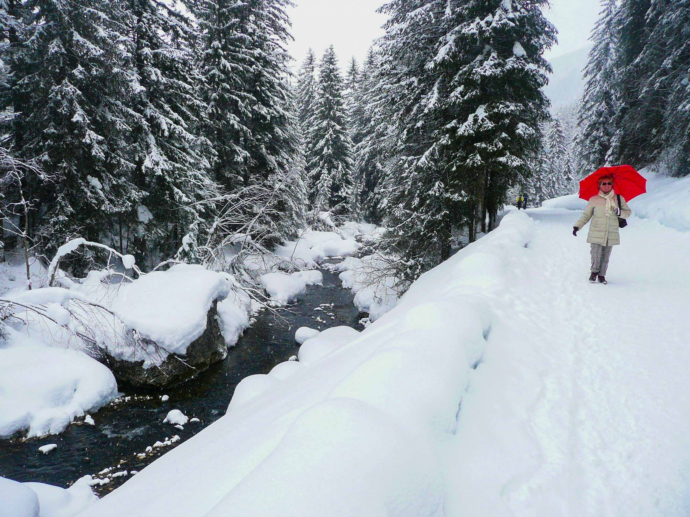 passegiando lungo il torrente - panasonic dmc tz3