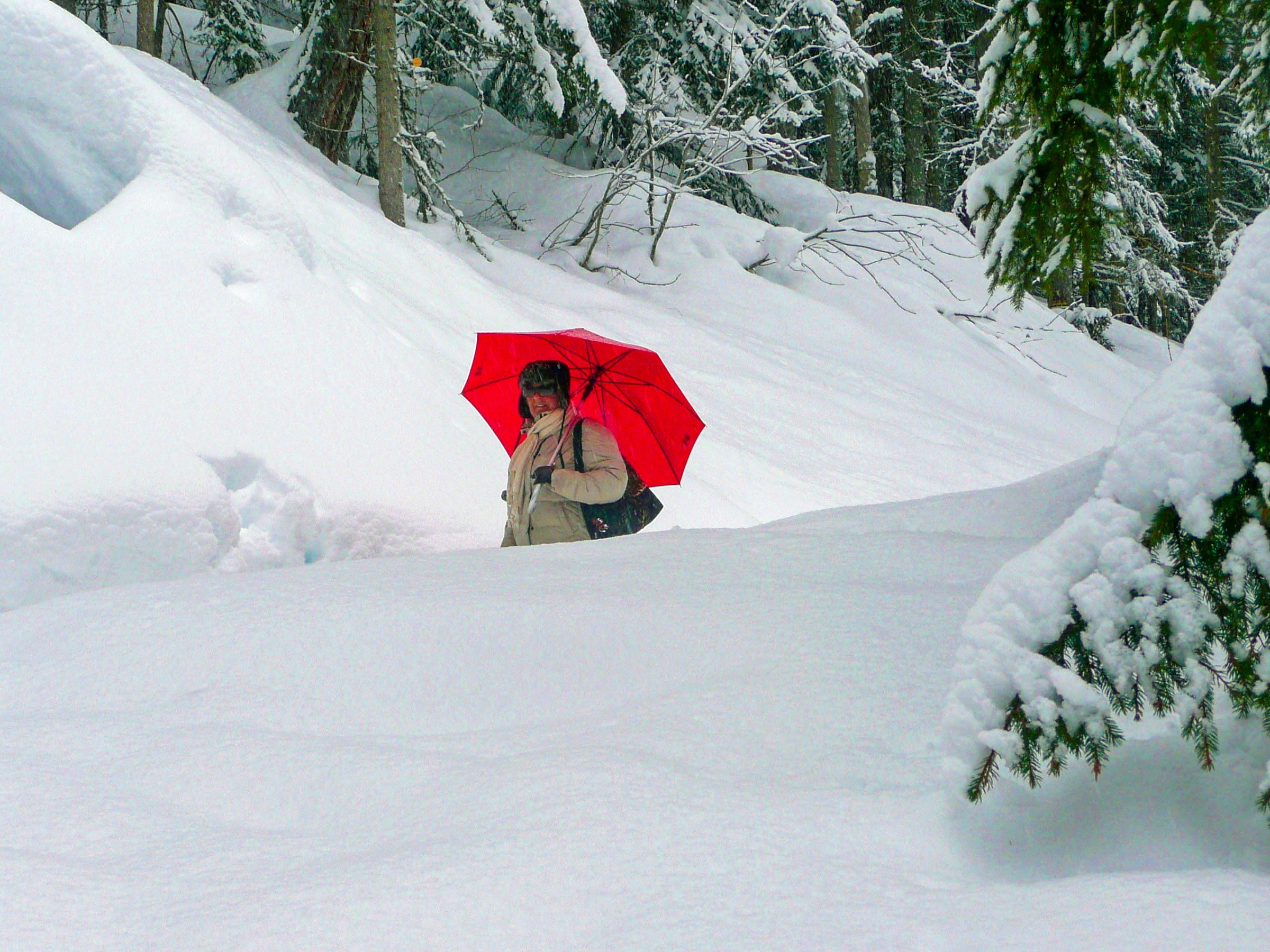 passeggiando nel bosco - panasonic dmc tz3