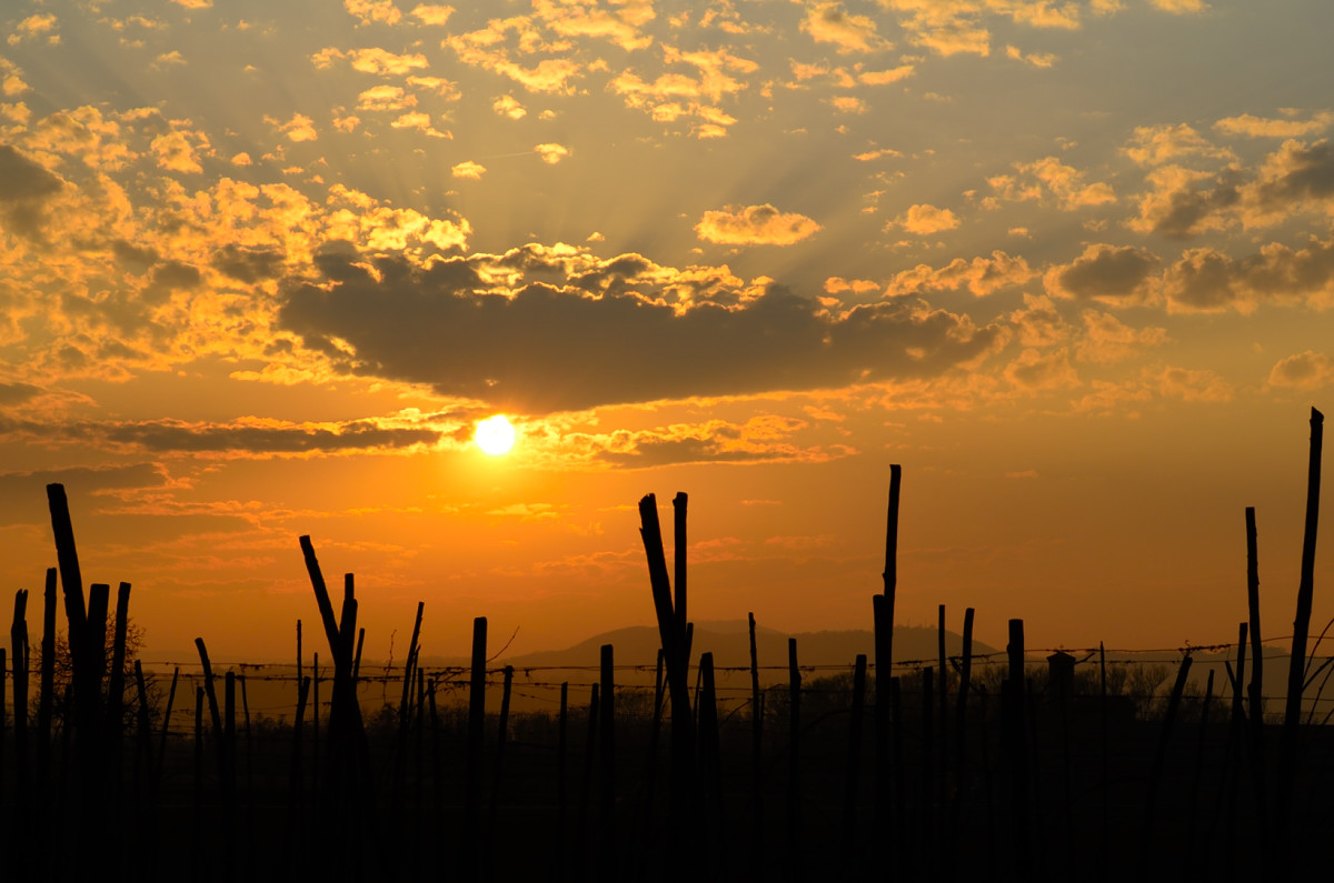 Sunset Collecchio - Parma