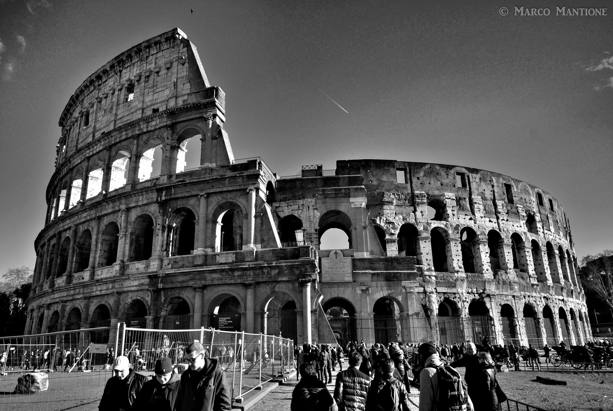 Coliseum