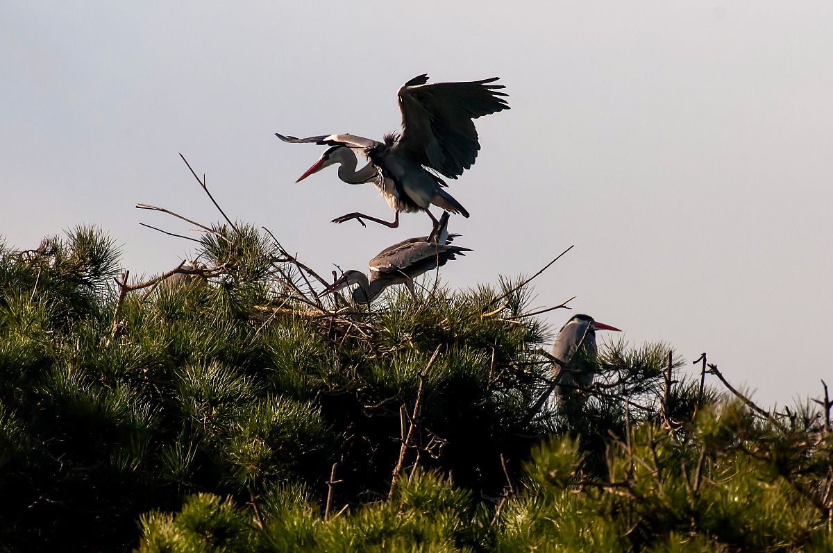 ....................