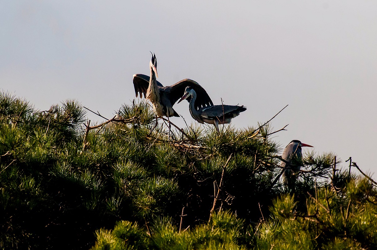 ..... You liked, dear ??