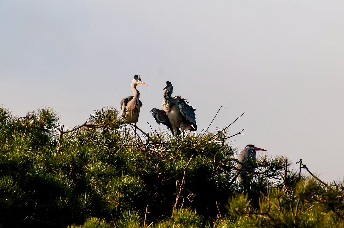 .... I still have chills !!