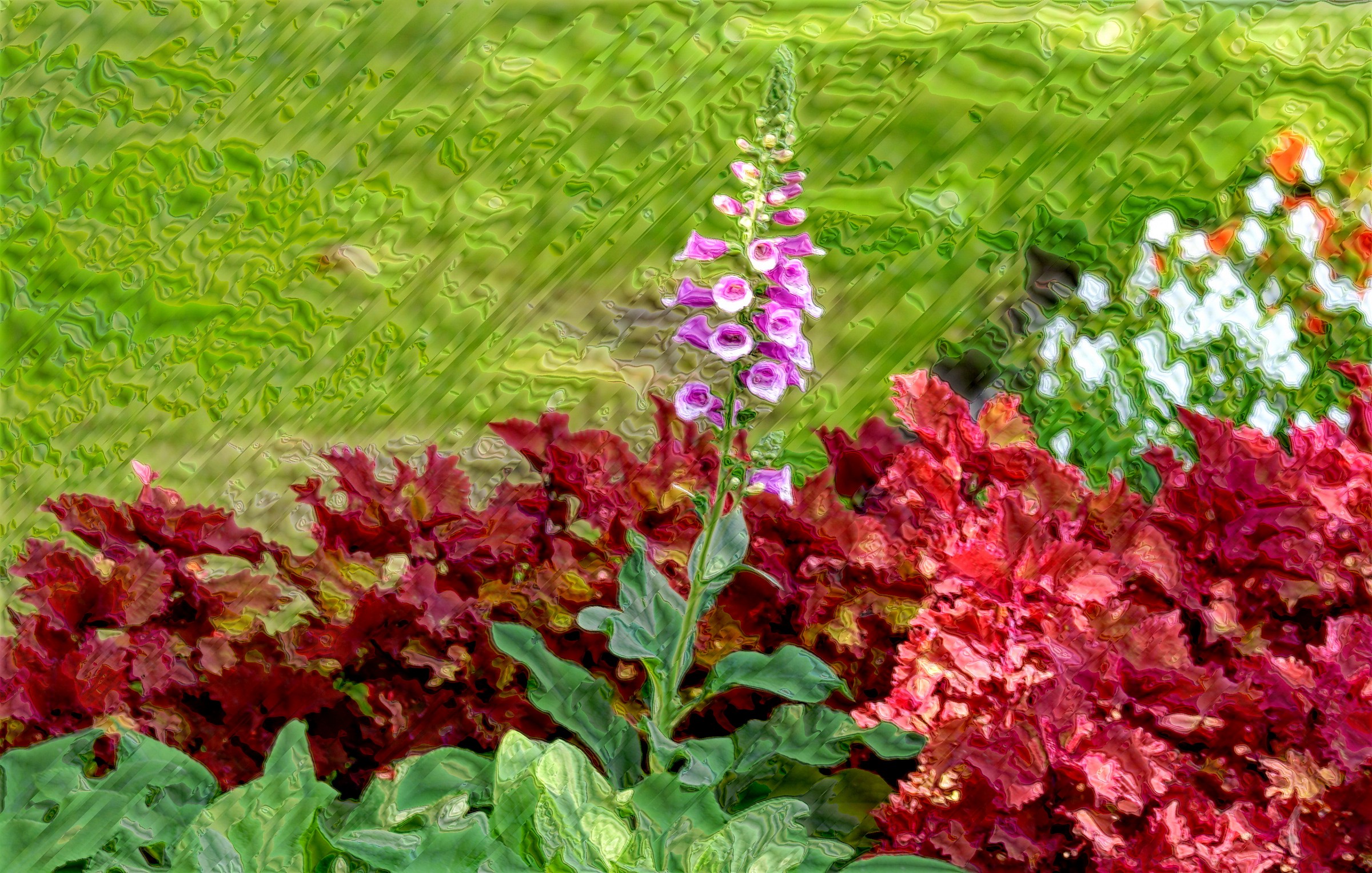 on voir suvrir le fleur