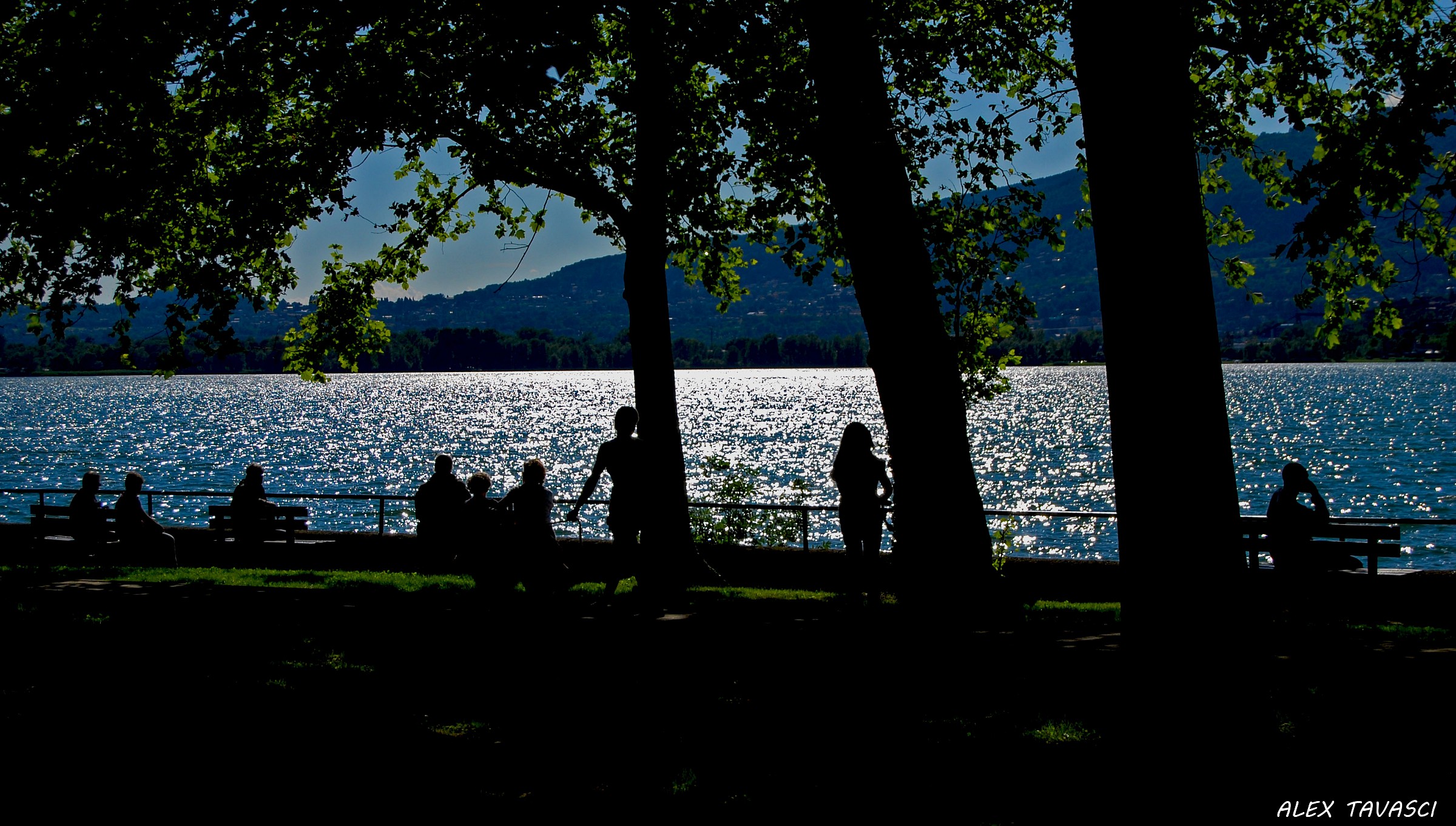 Shadows at the lake.
