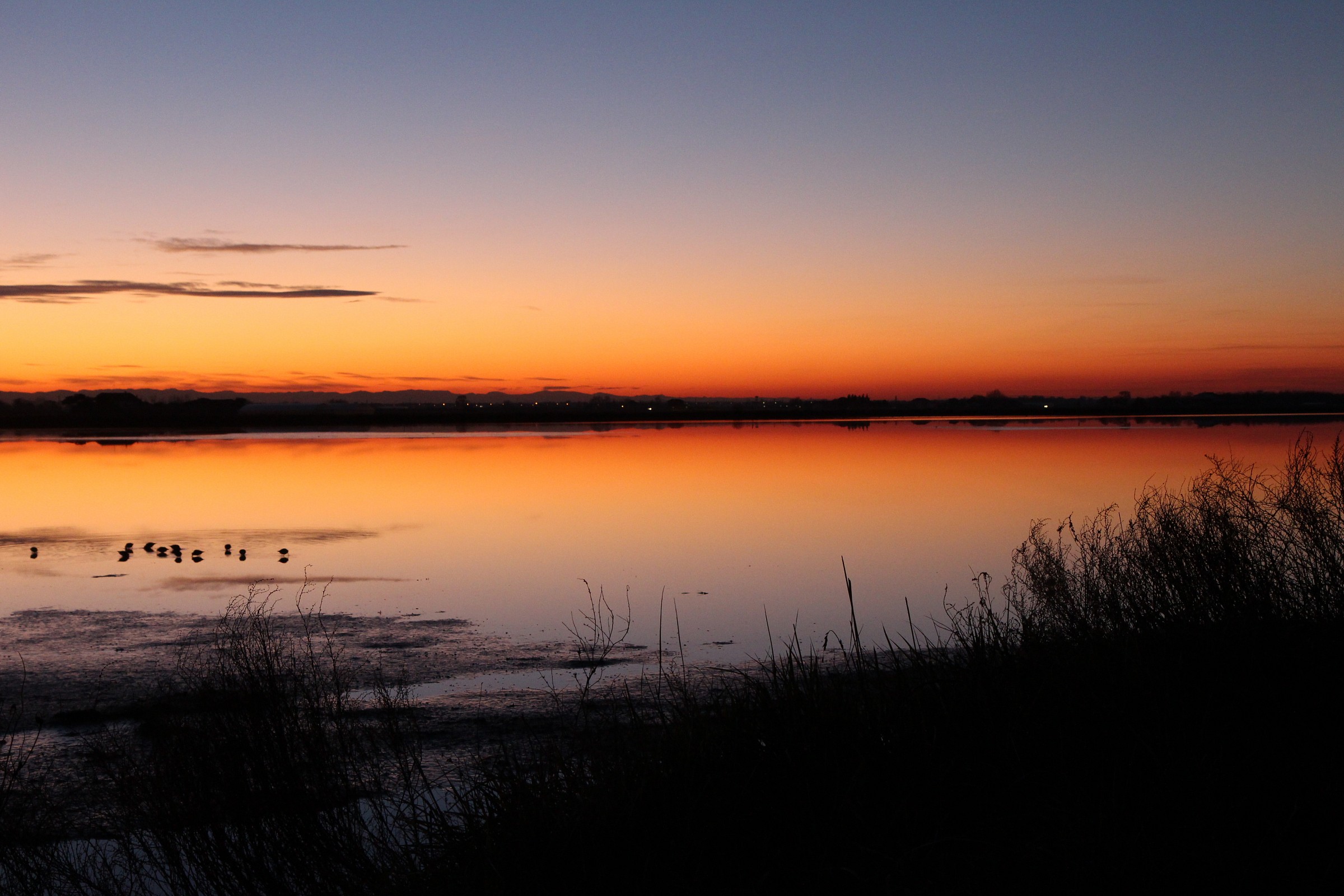 Lo specchio delle saline. ....