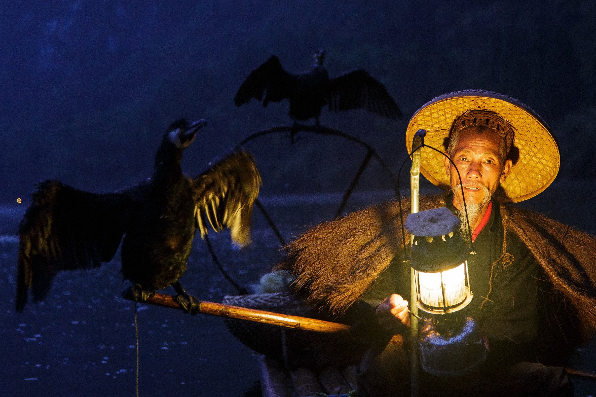 Fishing with cormorants