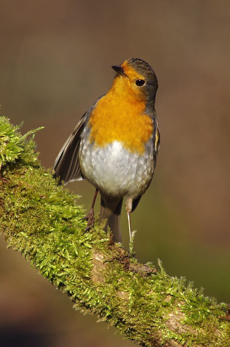 Non ti vedo, ma so che sei lì