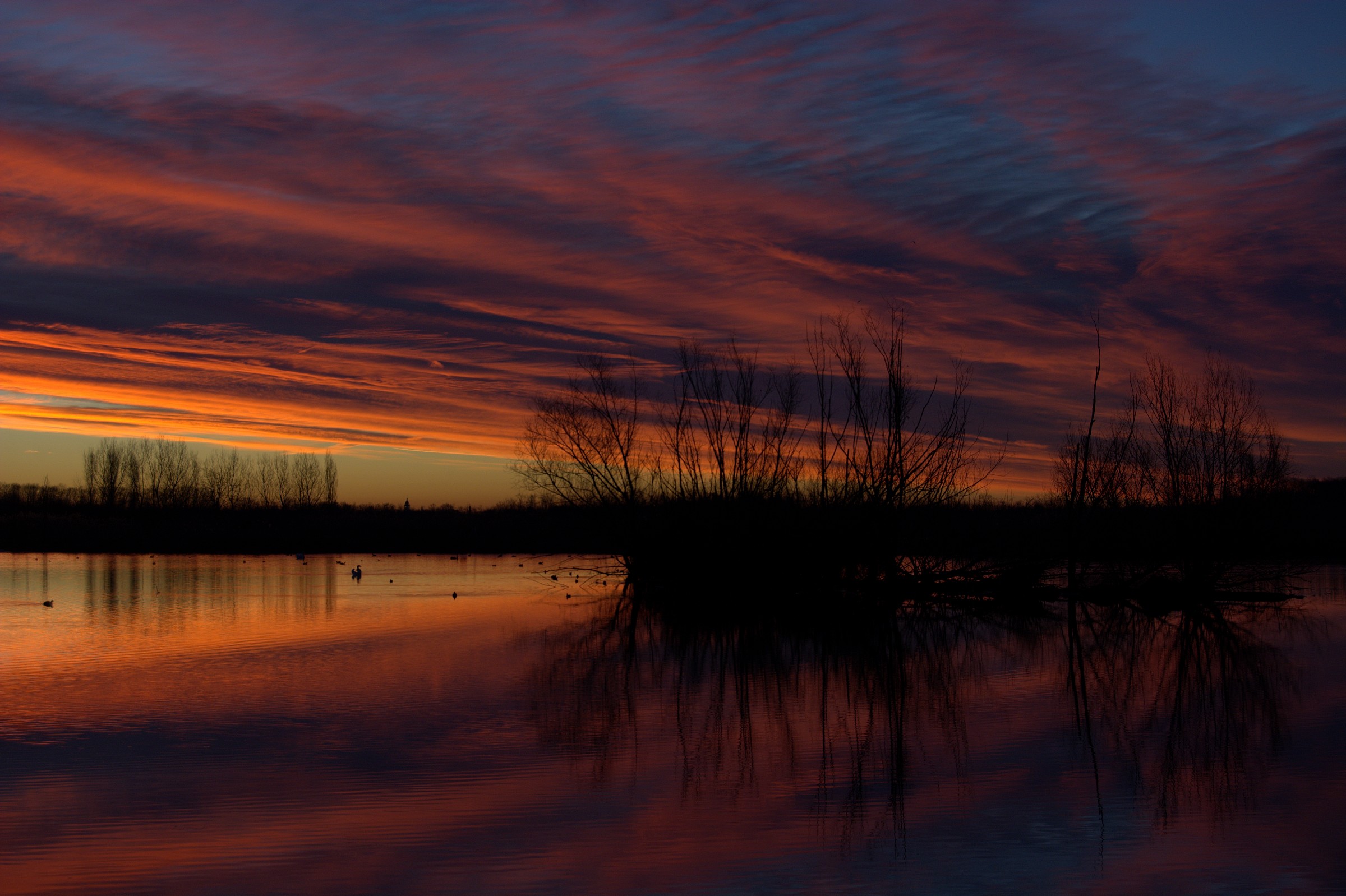La bellezza di un nuovo giorno