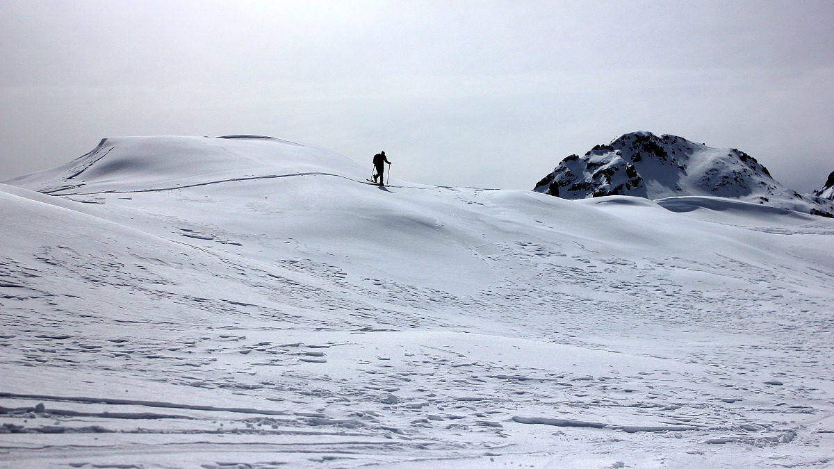 Passeggiata sulla neve 2