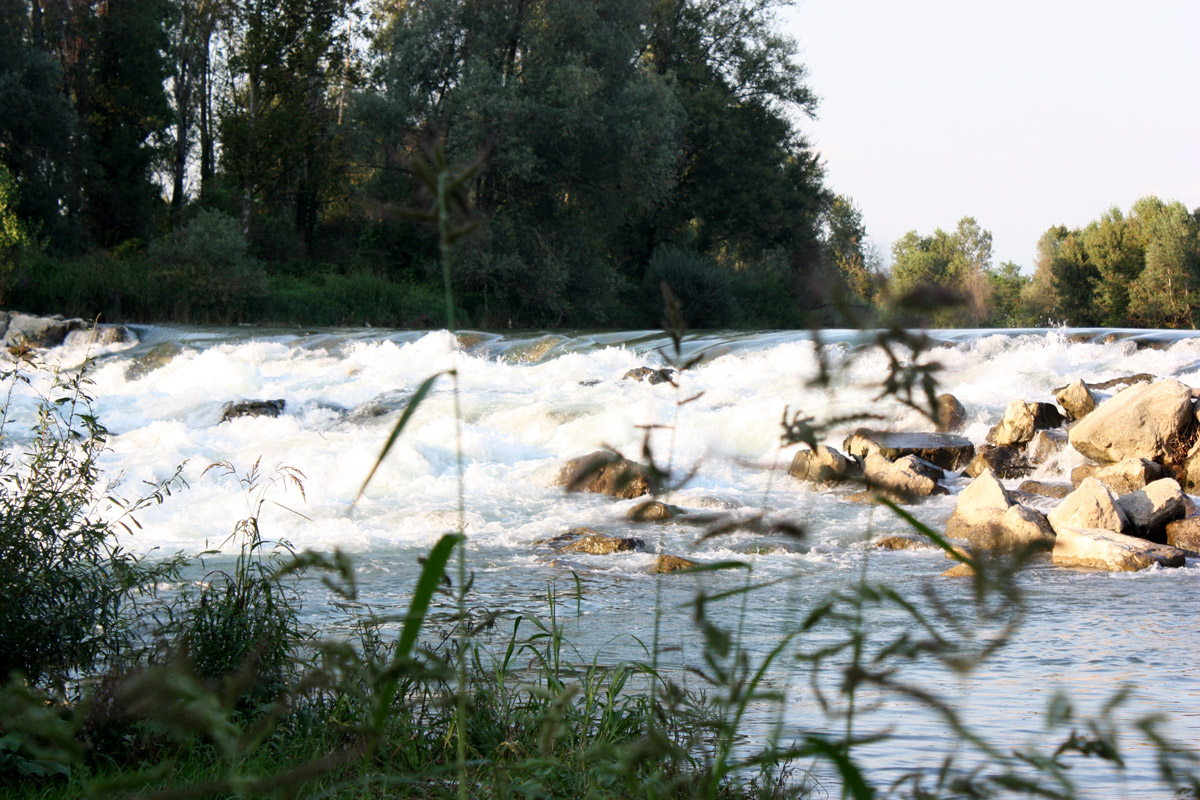 Oglio Park - The power of nature