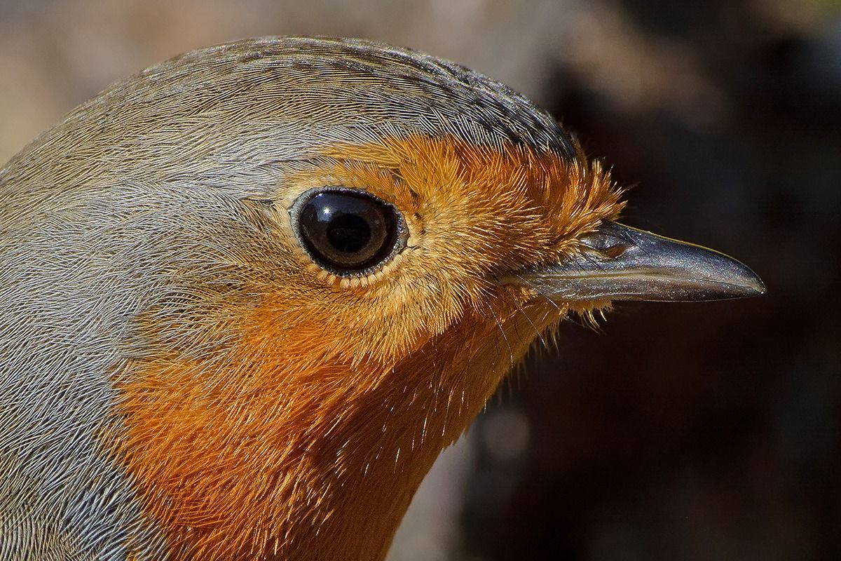 My friend mile to KM zero ...