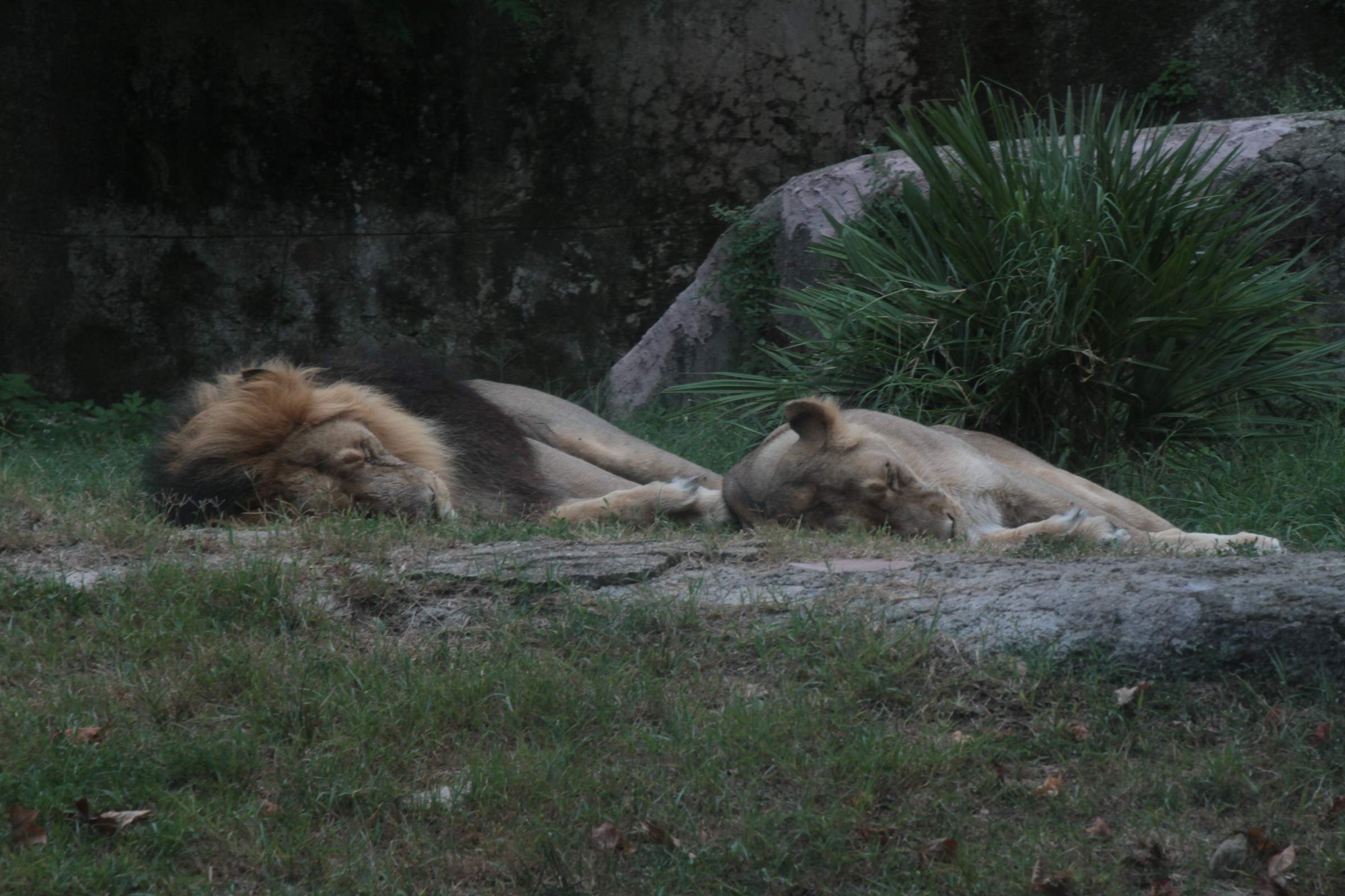 and now you sleep ...