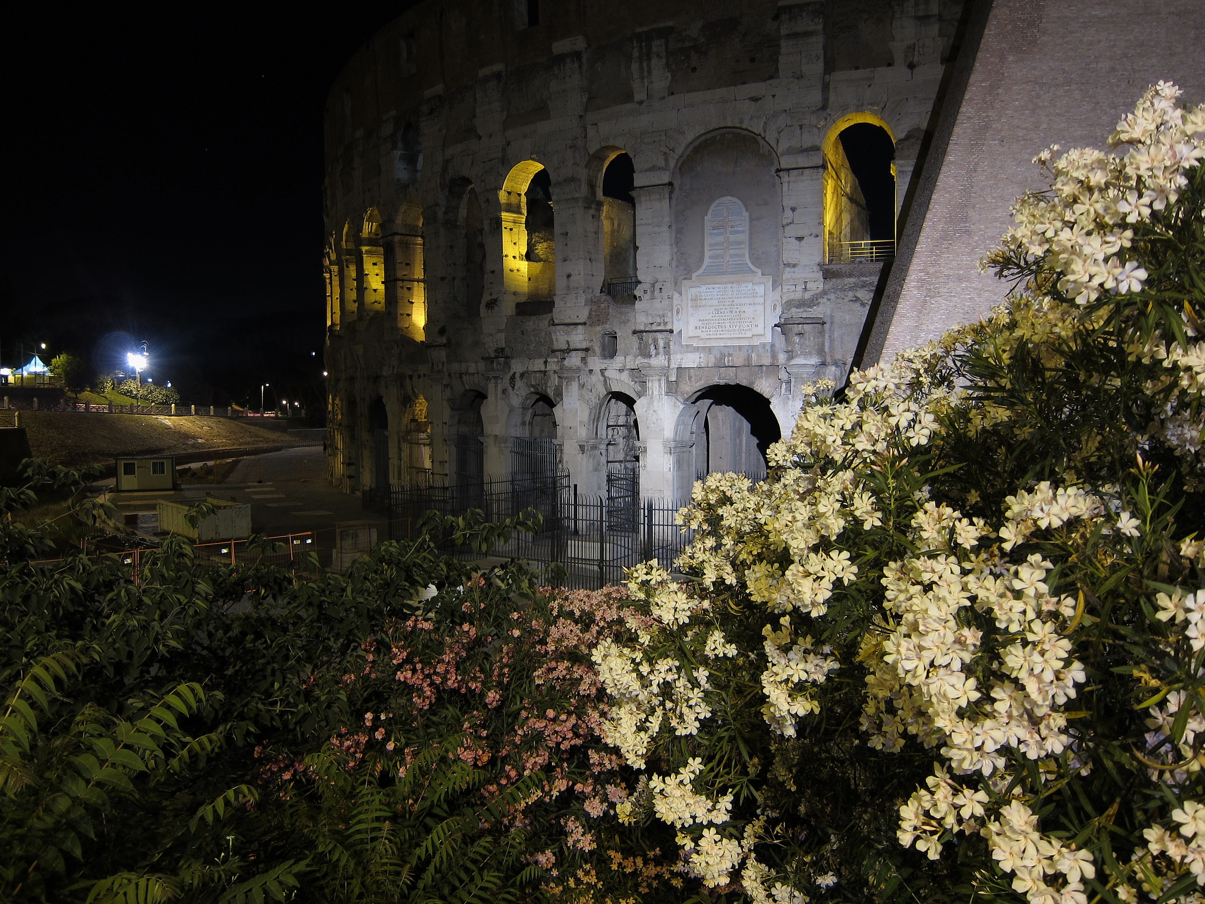 Colosseum by night