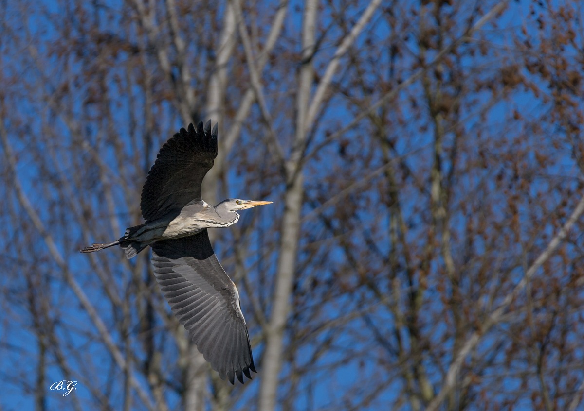 Scappi?? e io ti prendo...
