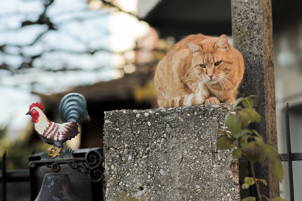 pranzo in vista  !!!!