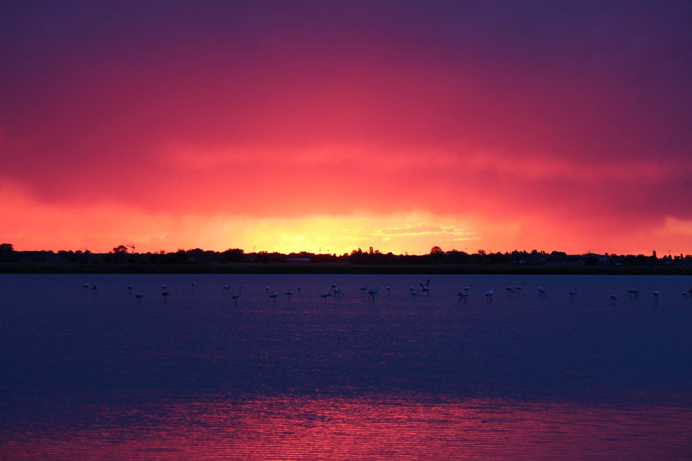 ....creazione naturale.....