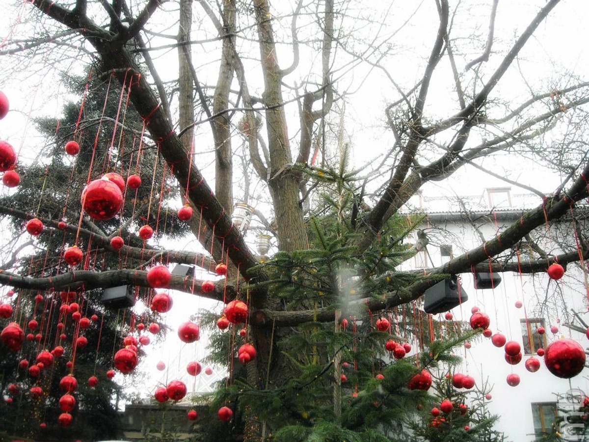 Christmas in Bolzano