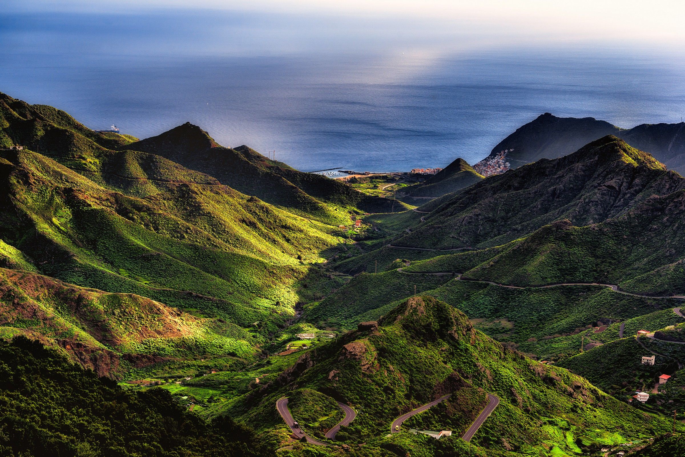 Tanager con una fotocamera tascabile
